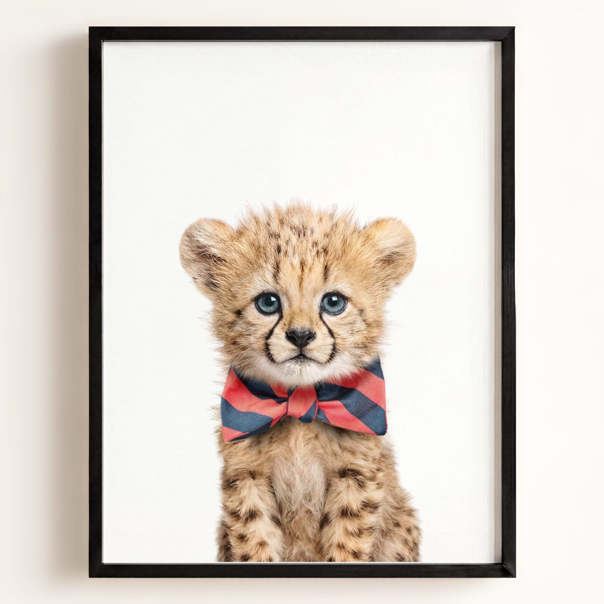 Baby Cheetah