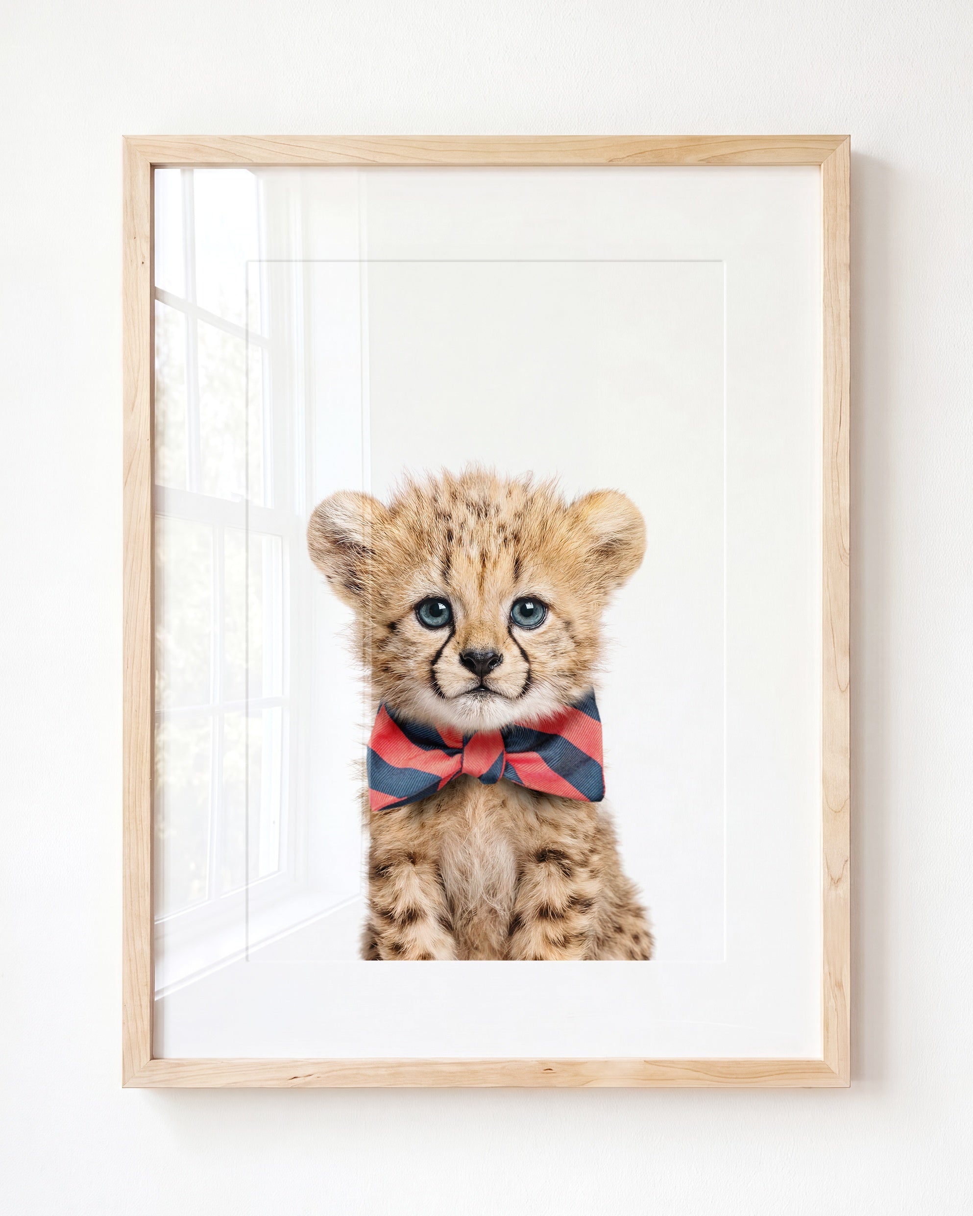 Baby Cheetah
