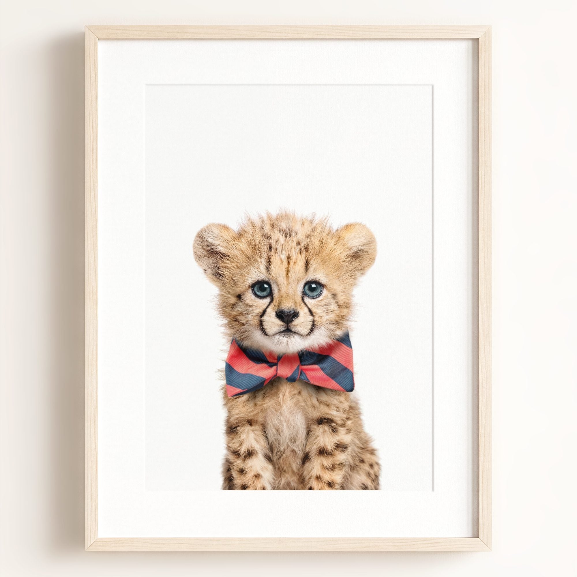 Baby Cheetah