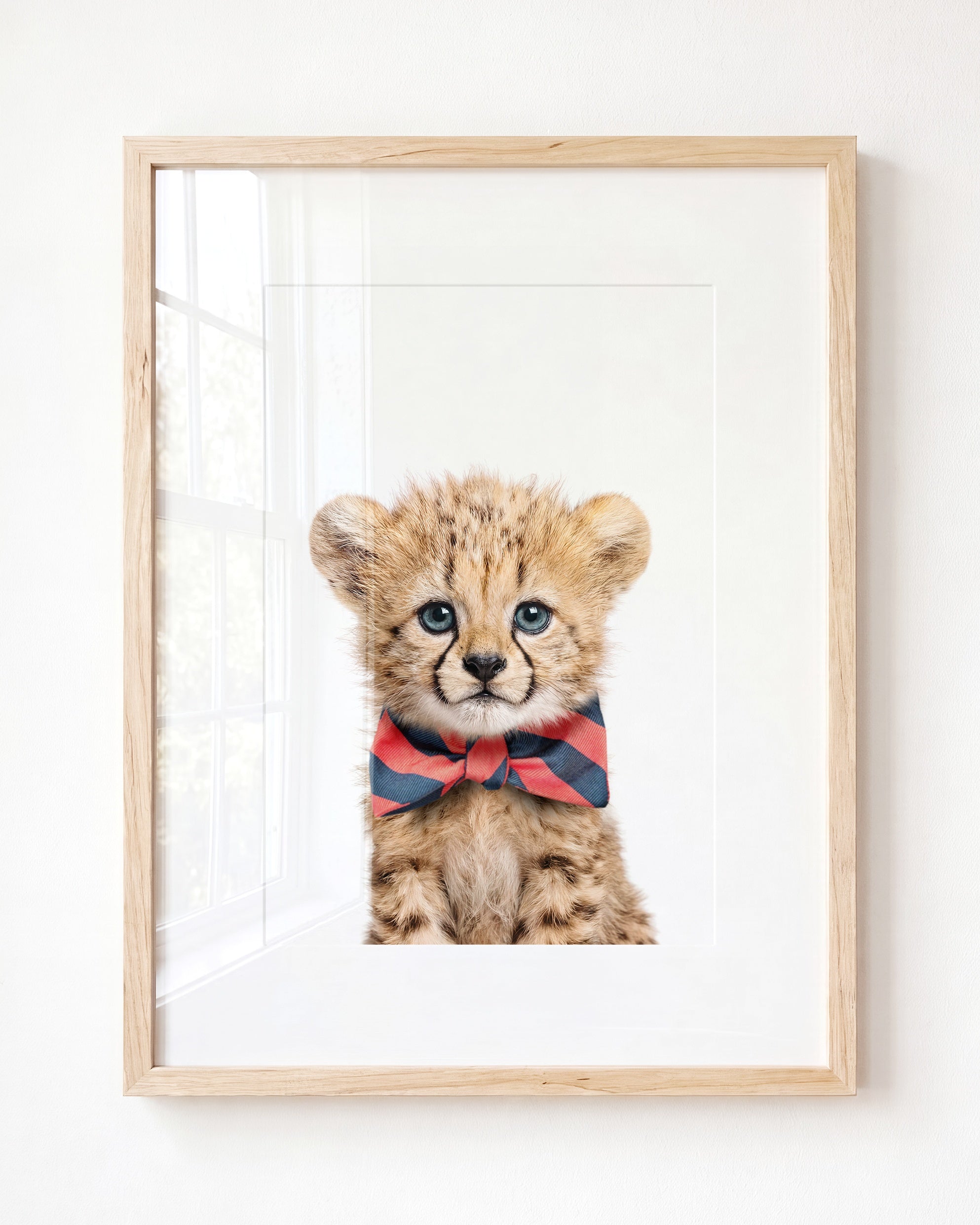 Baby Cheetah