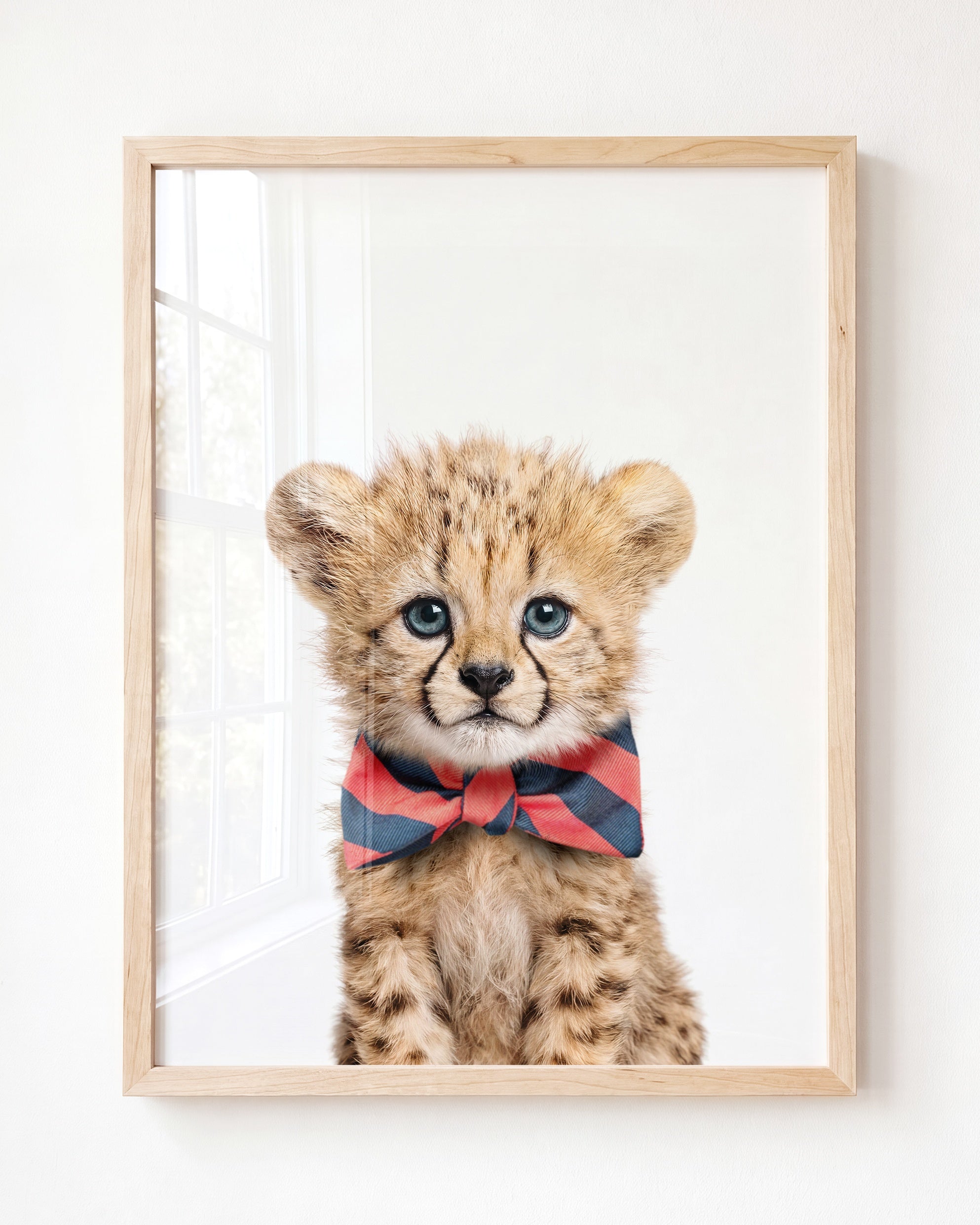 Baby Cheetah