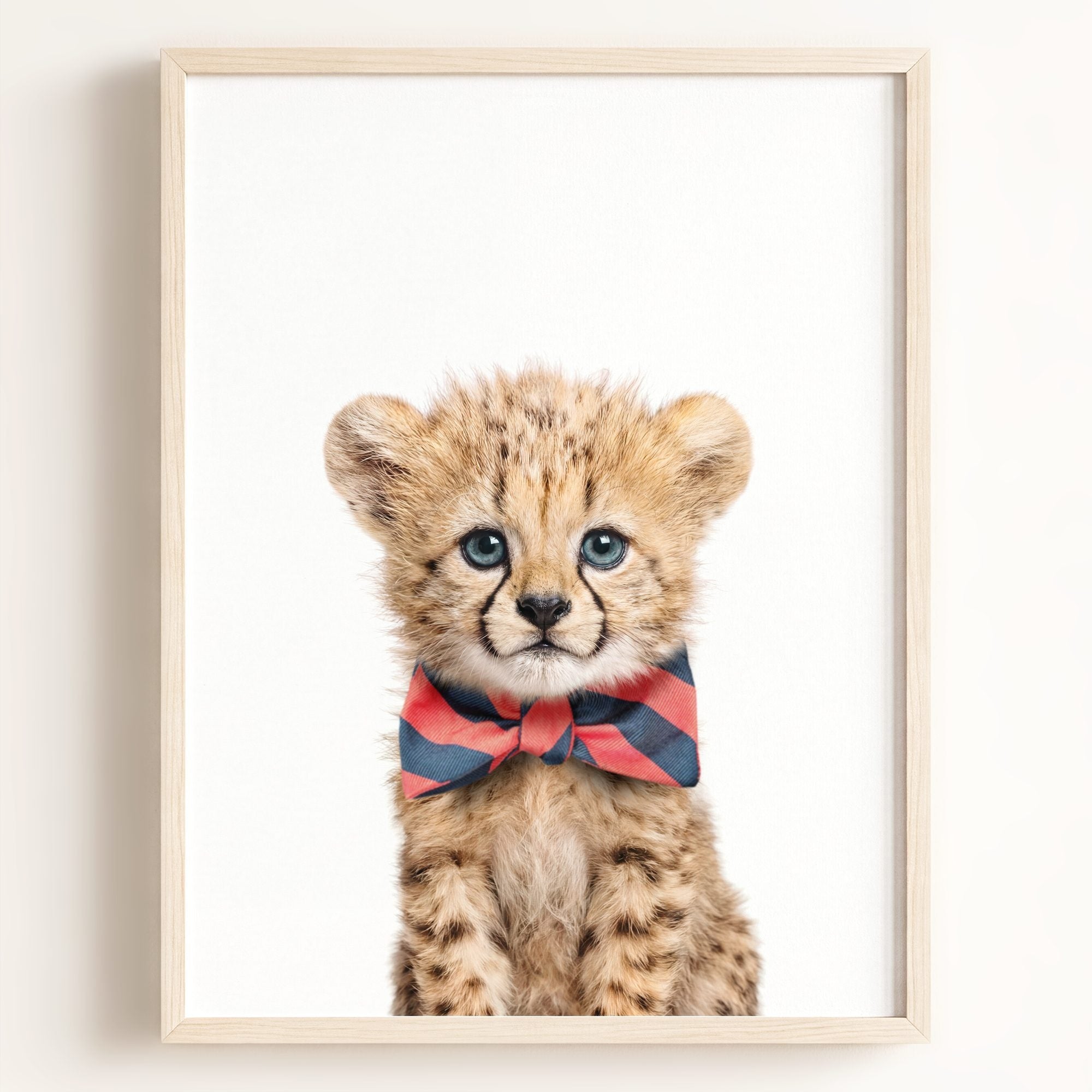 Baby Cheetah