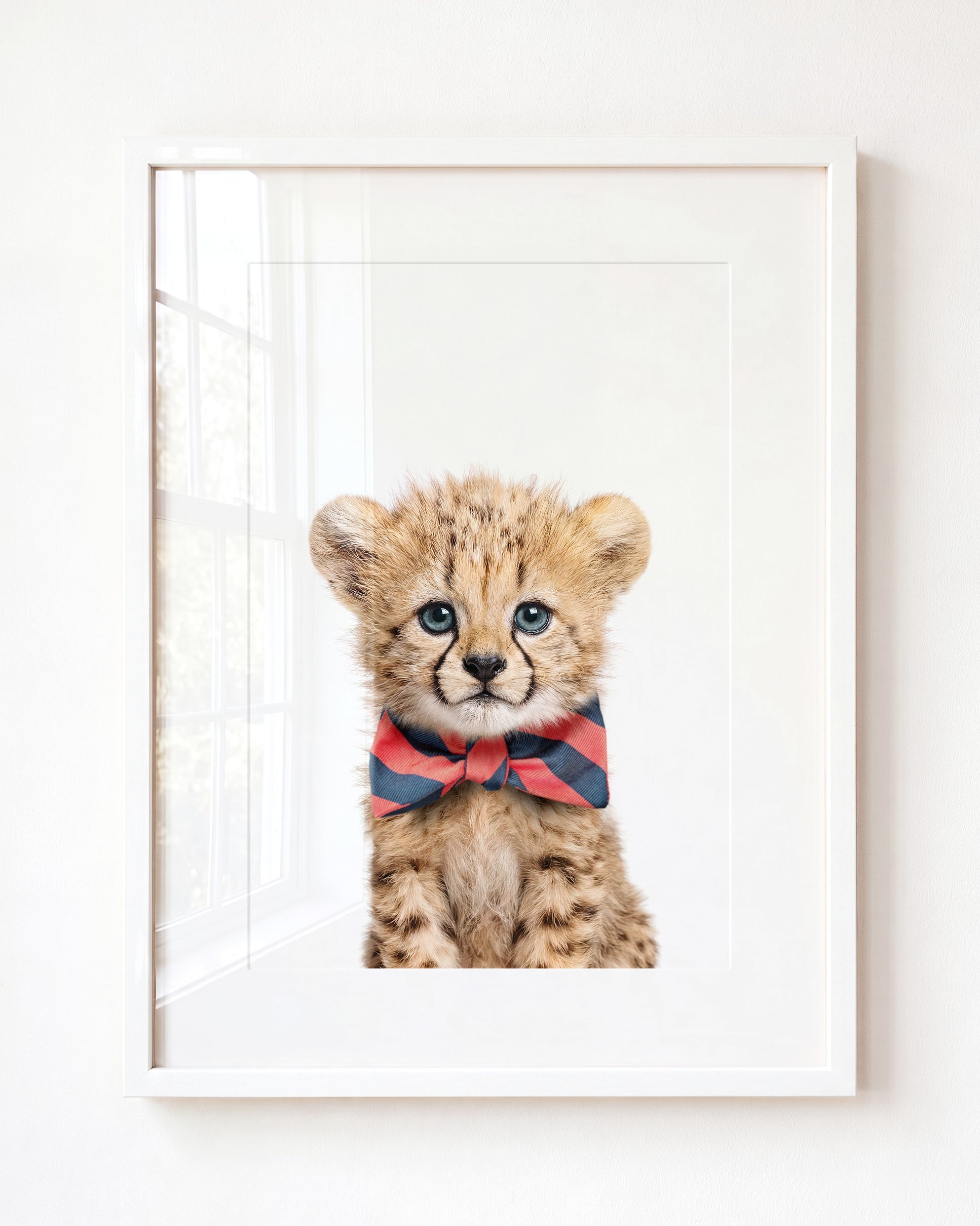Baby Cheetah