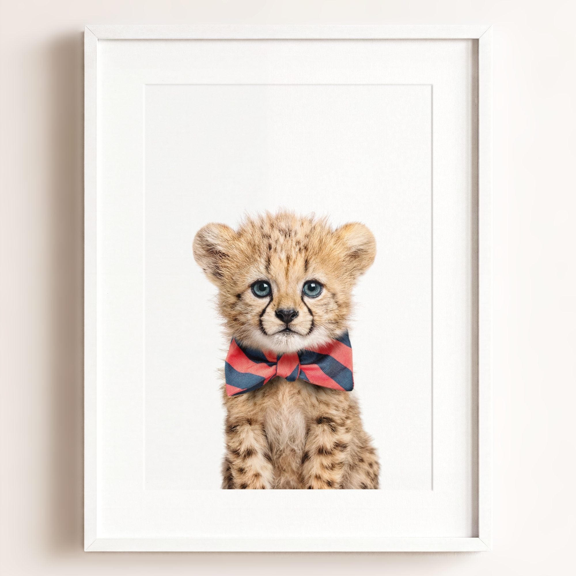 Baby Cheetah
