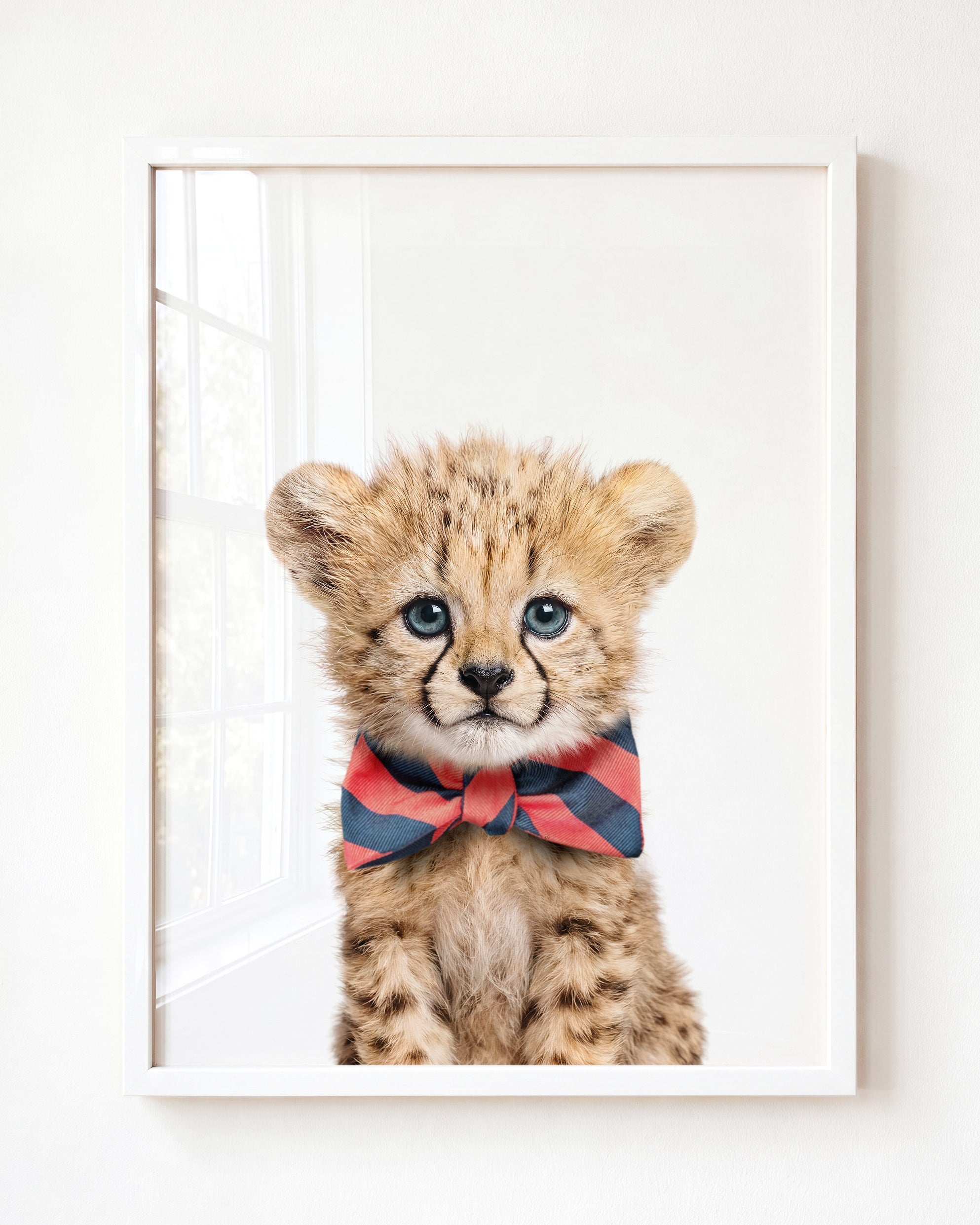 Baby Cheetah
