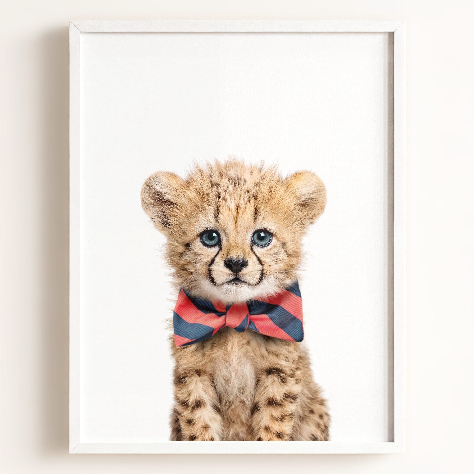 Baby Cheetah