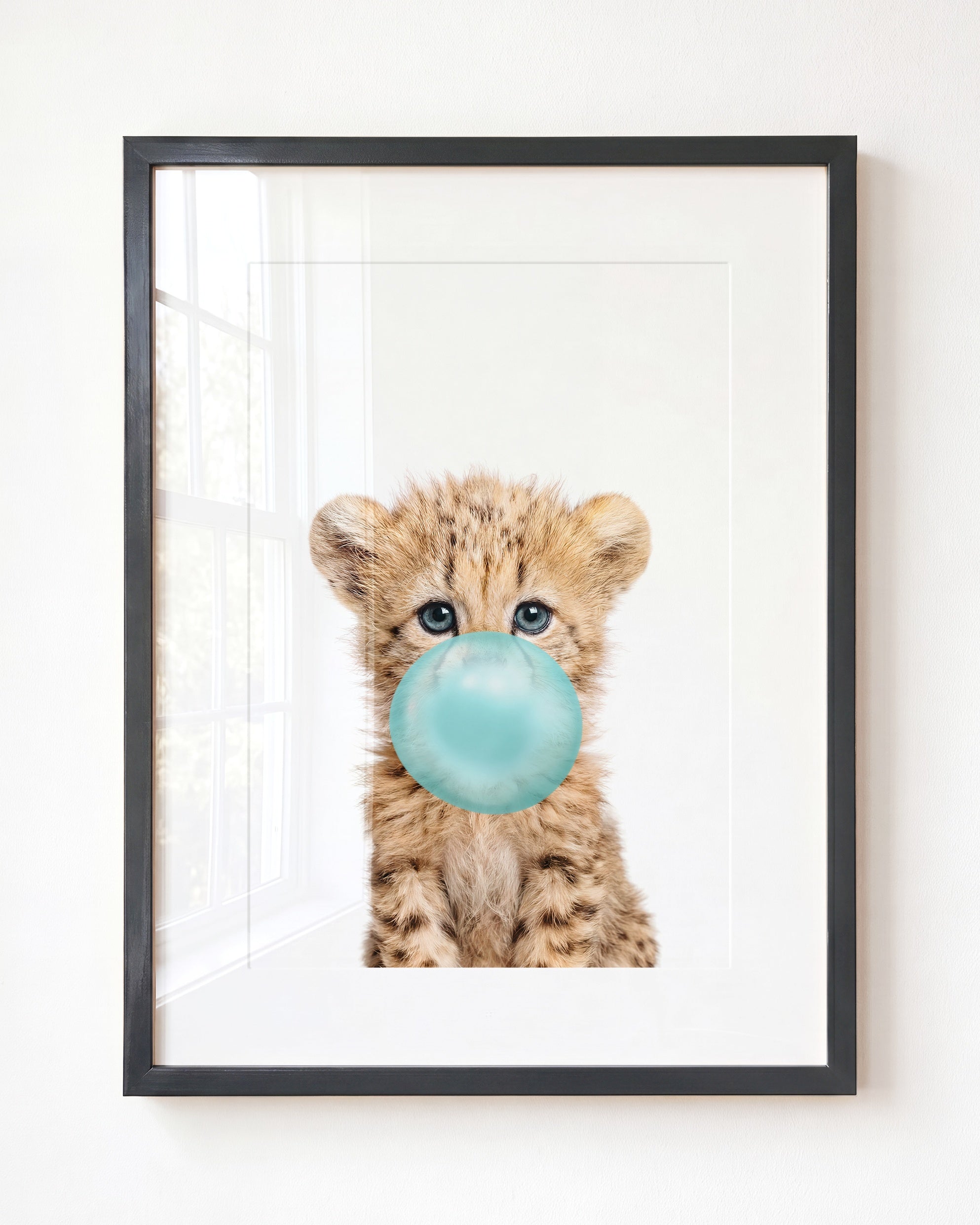 Baby Cheetah
