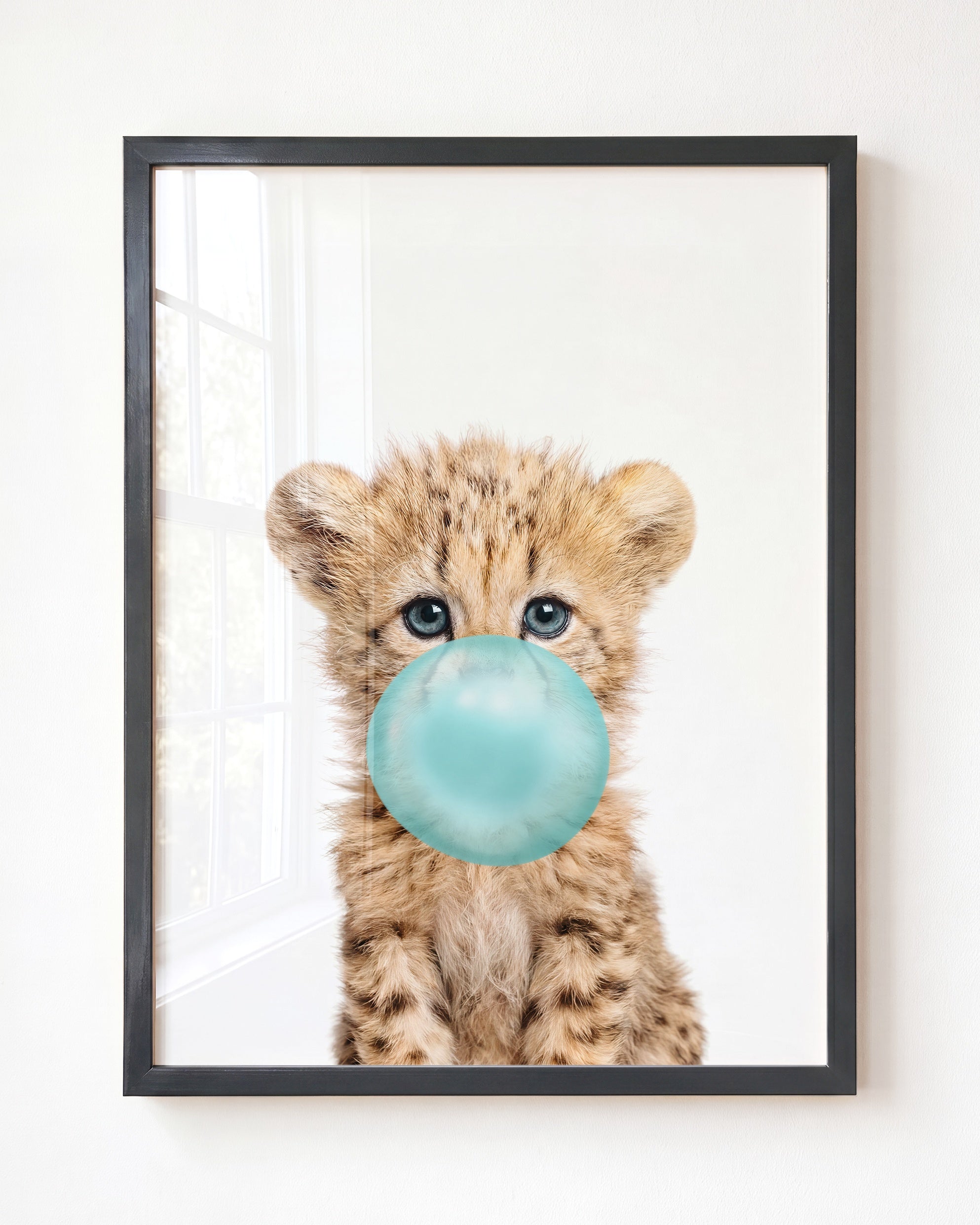 Baby Cheetah
