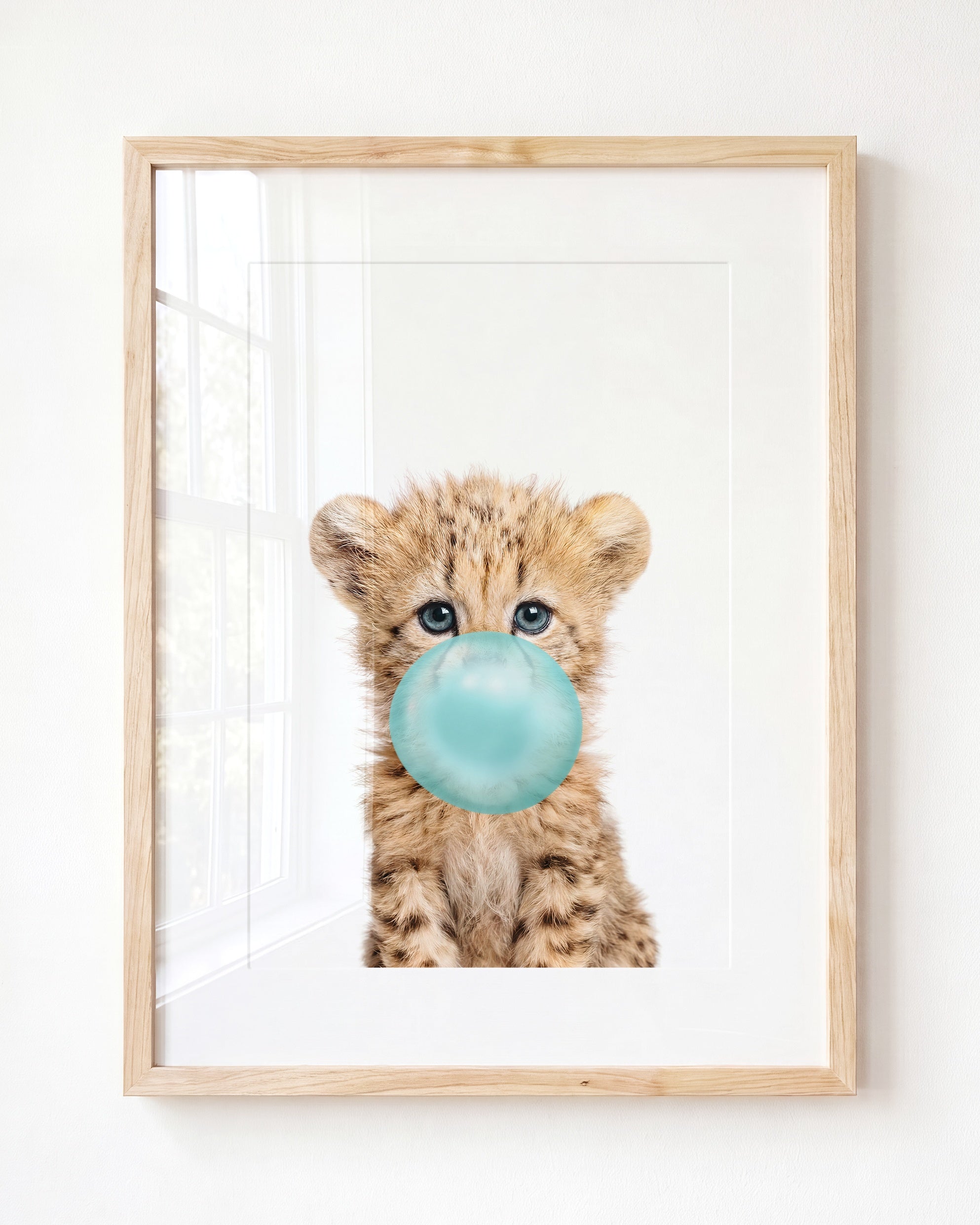 Baby Cheetah