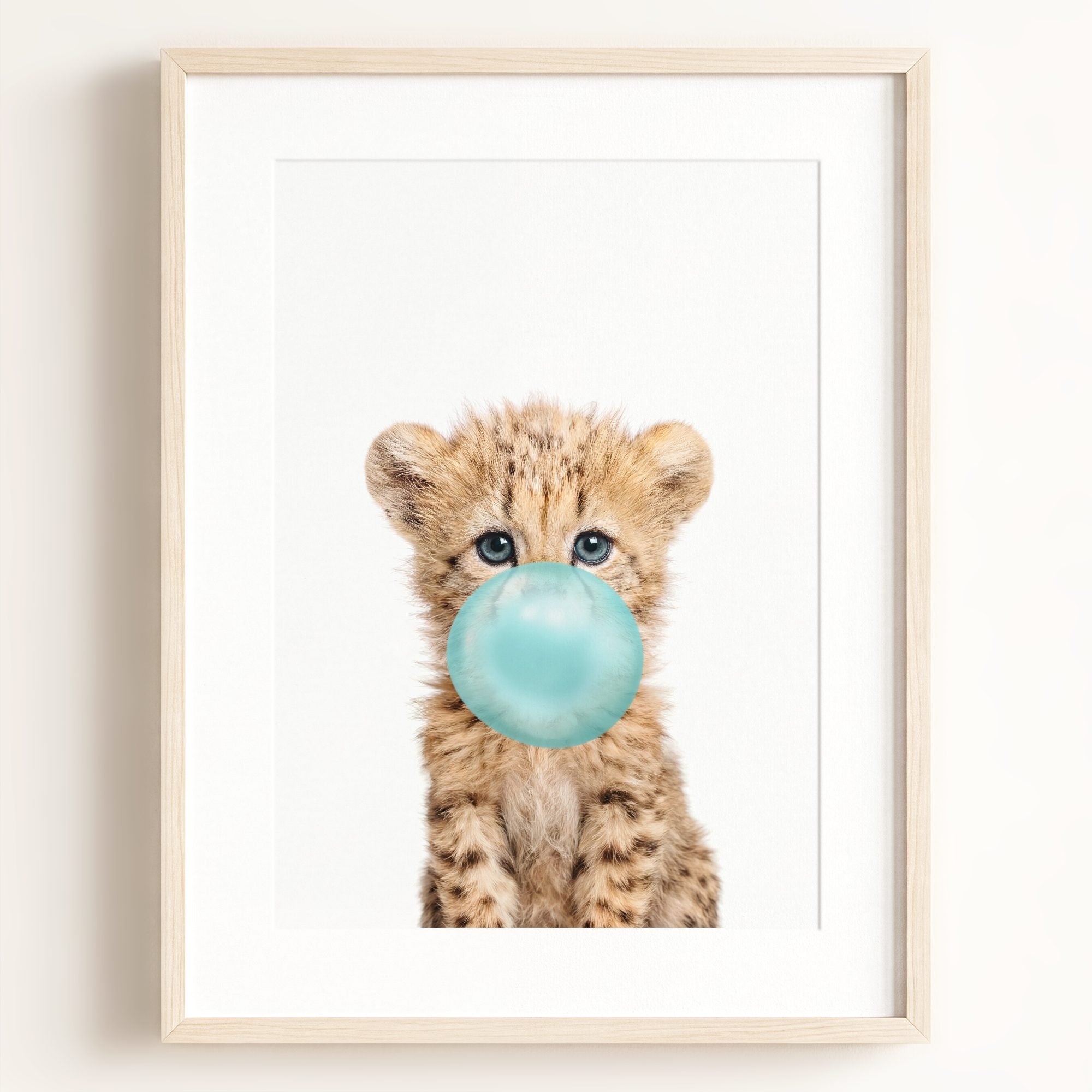 Baby Cheetah