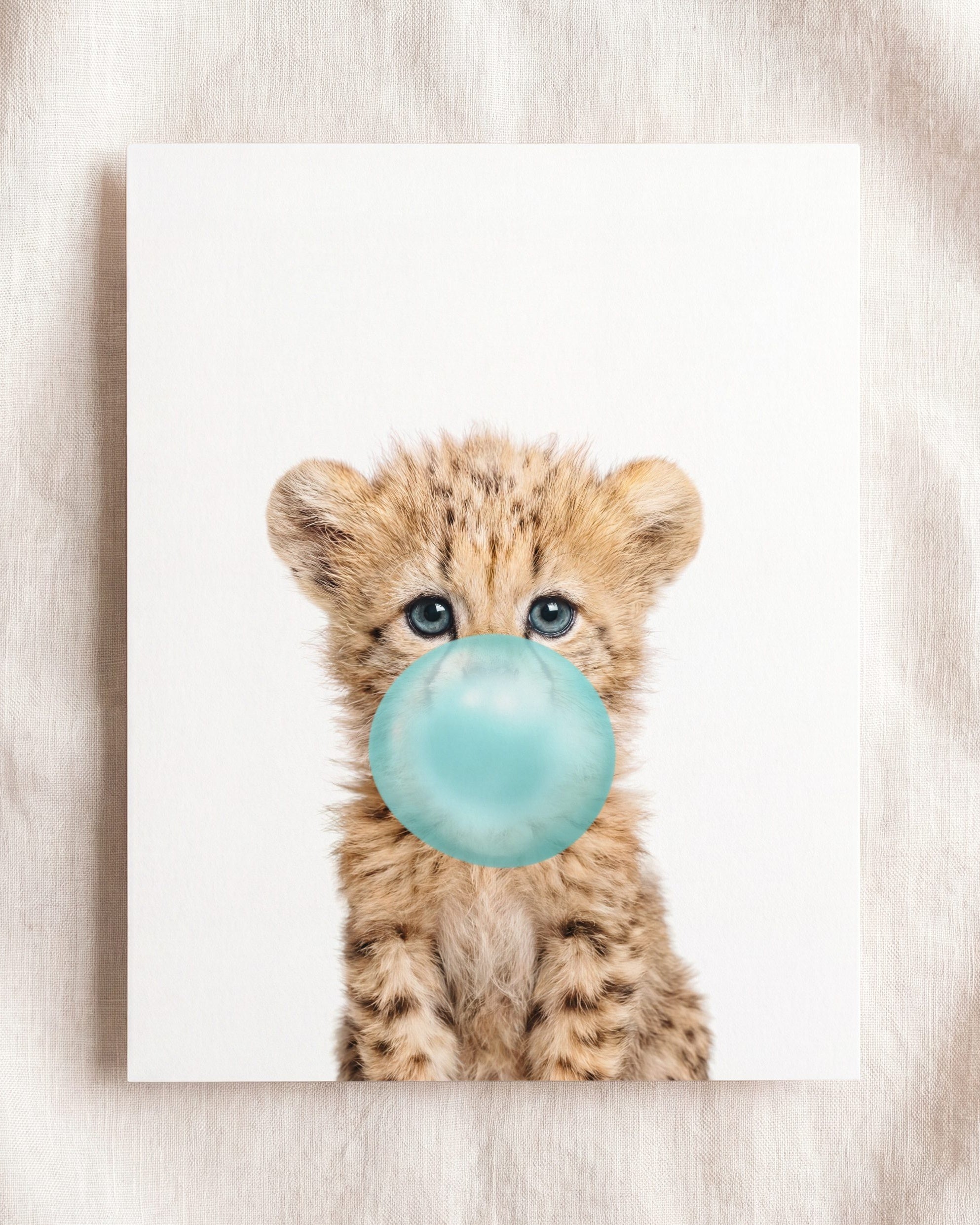 Baby Cheetah