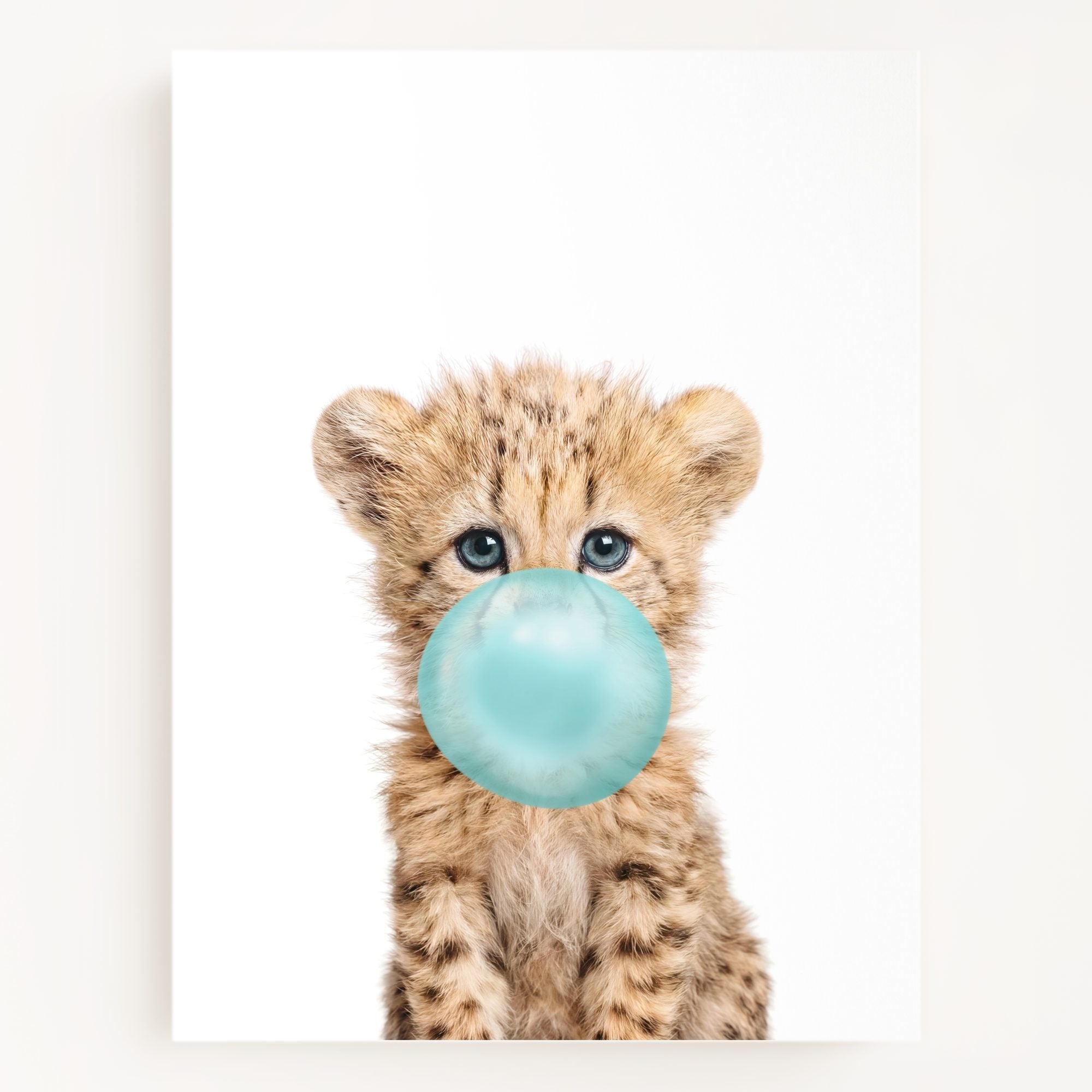 Baby Cheetah
