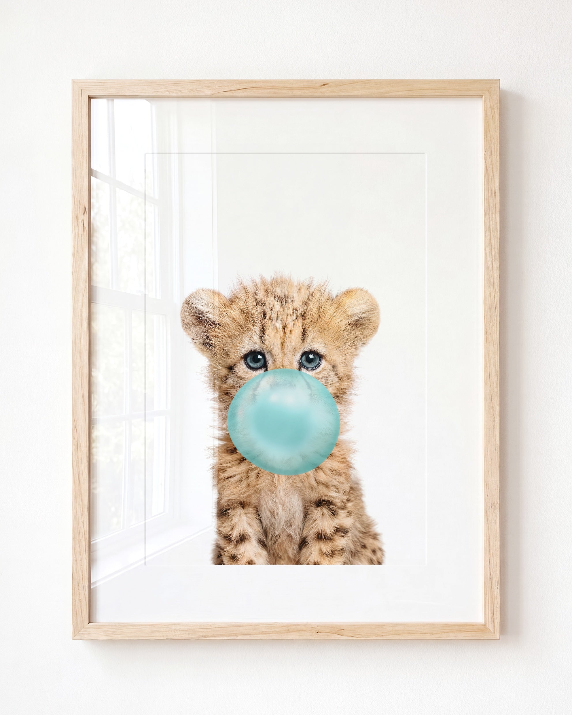Baby Cheetah