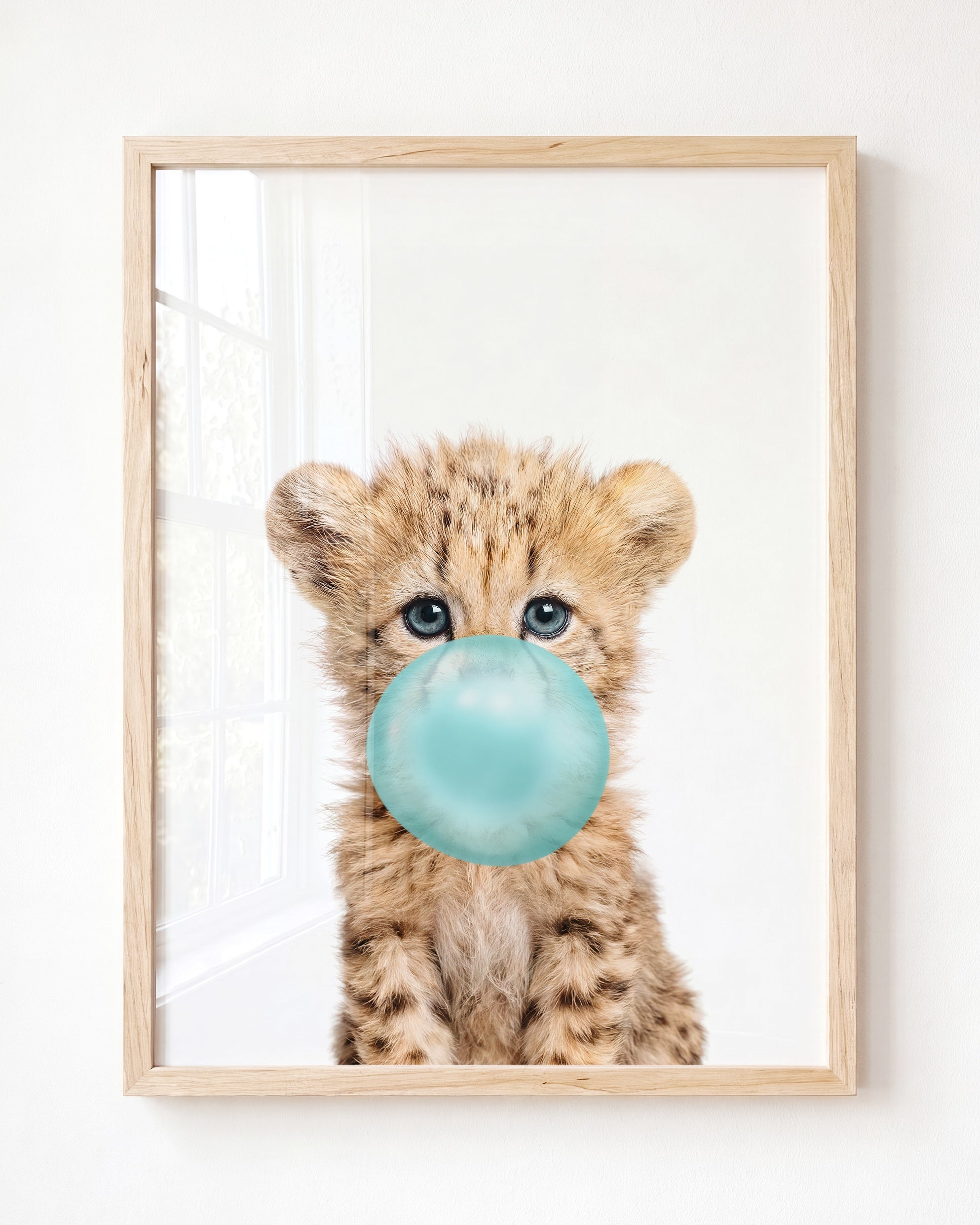 Baby Cheetah