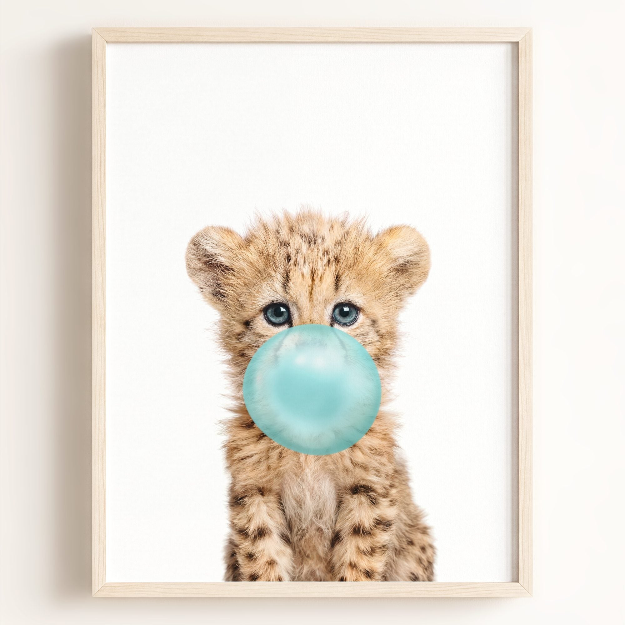 Baby Cheetah