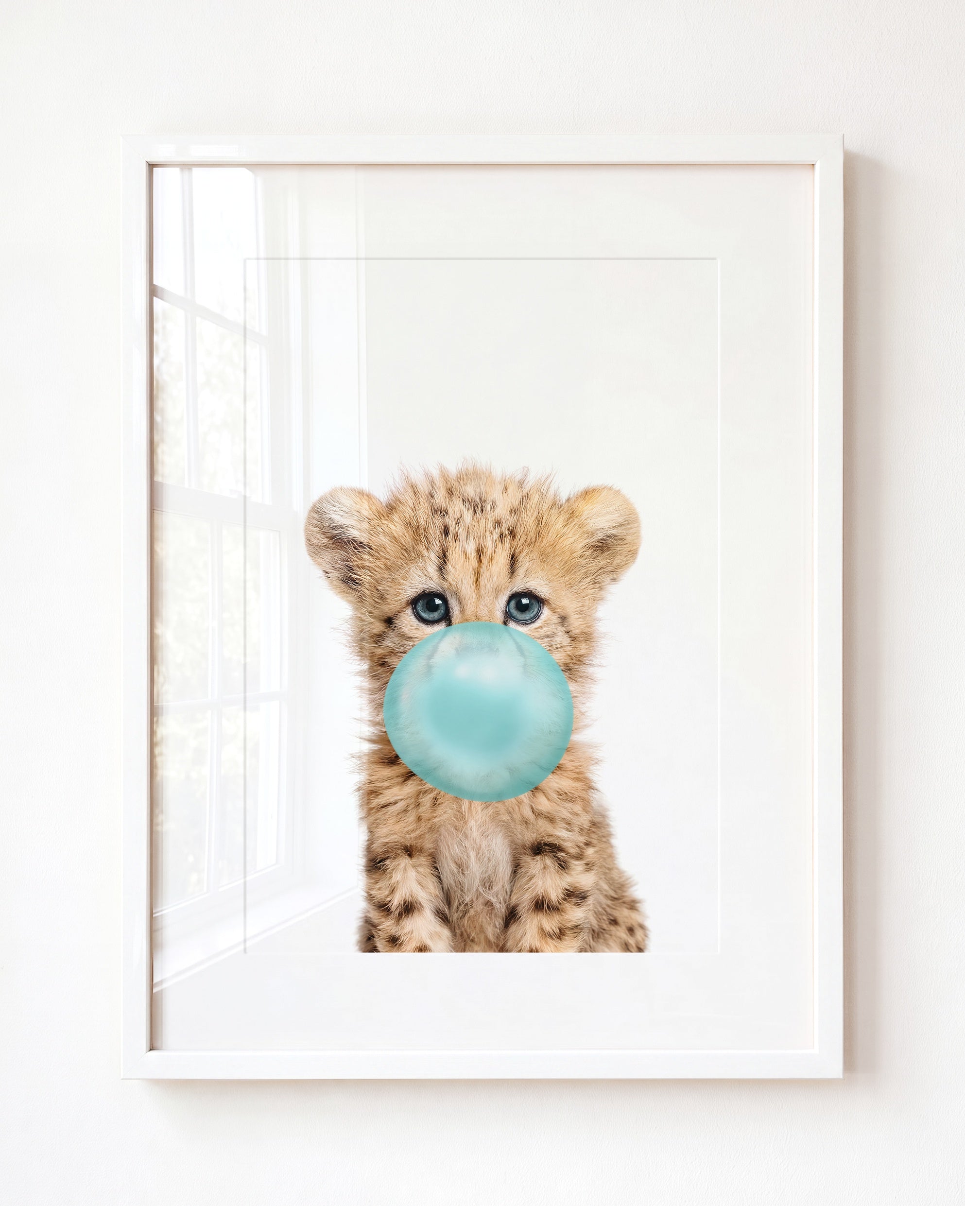 Baby Cheetah