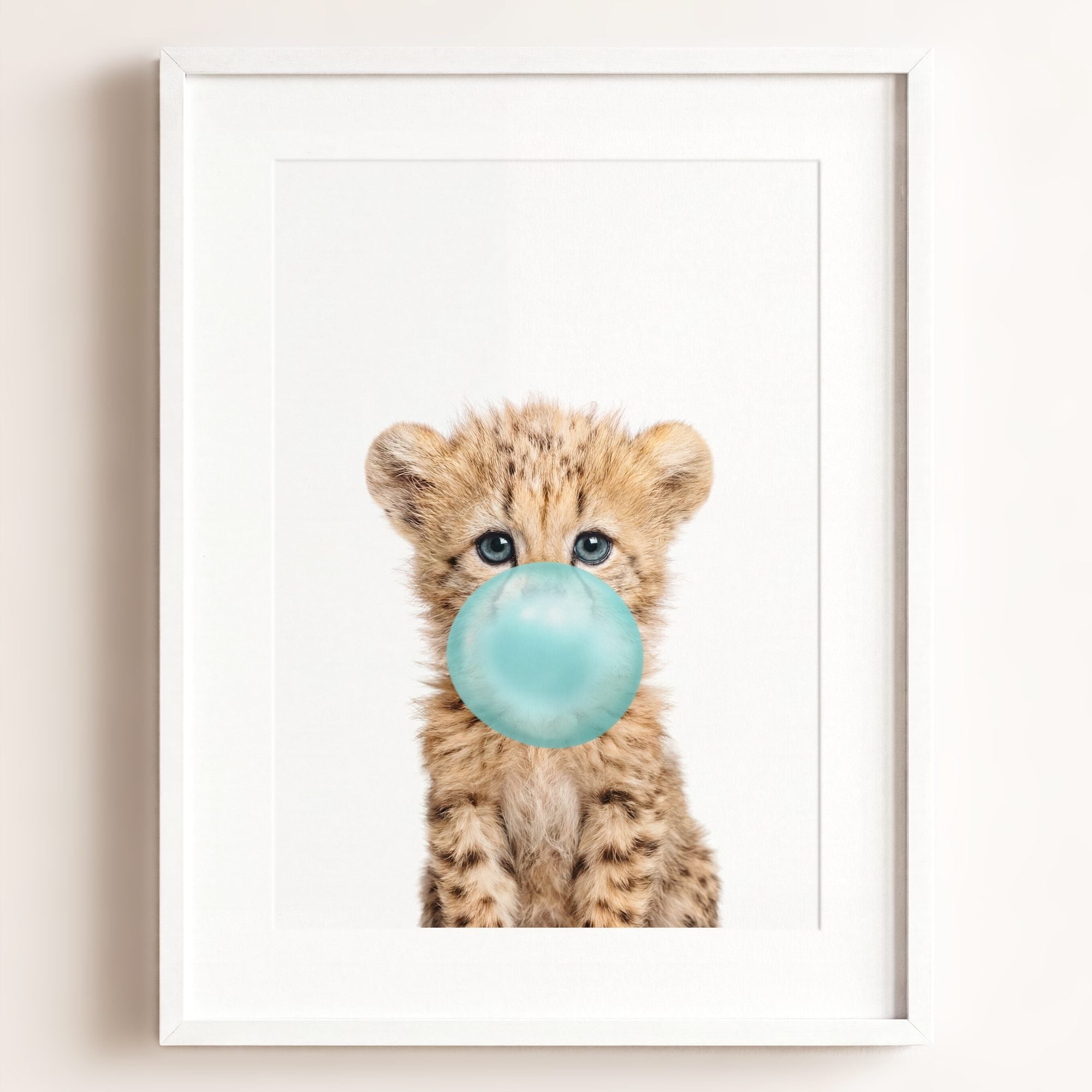 Baby Cheetah