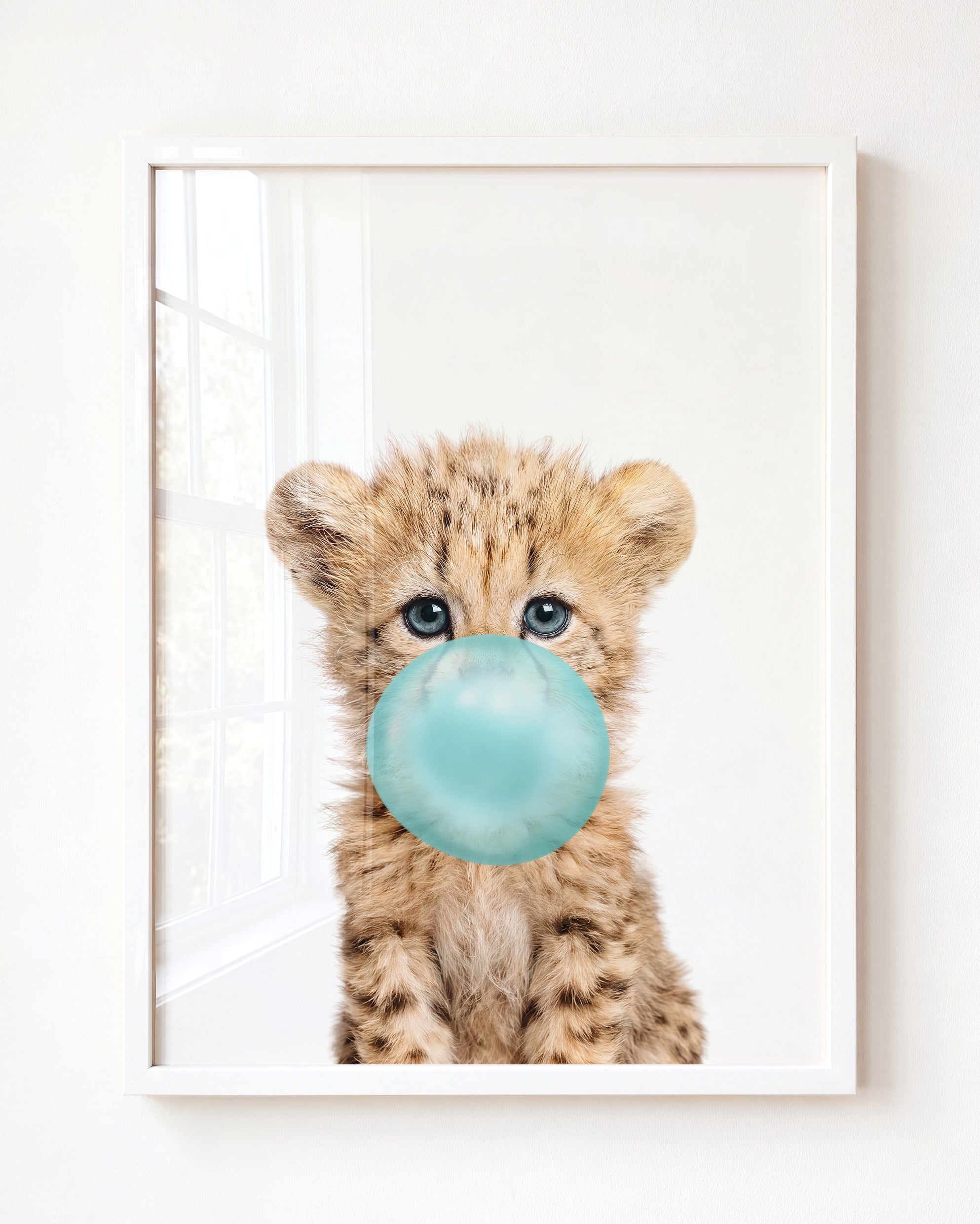 Baby Cheetah