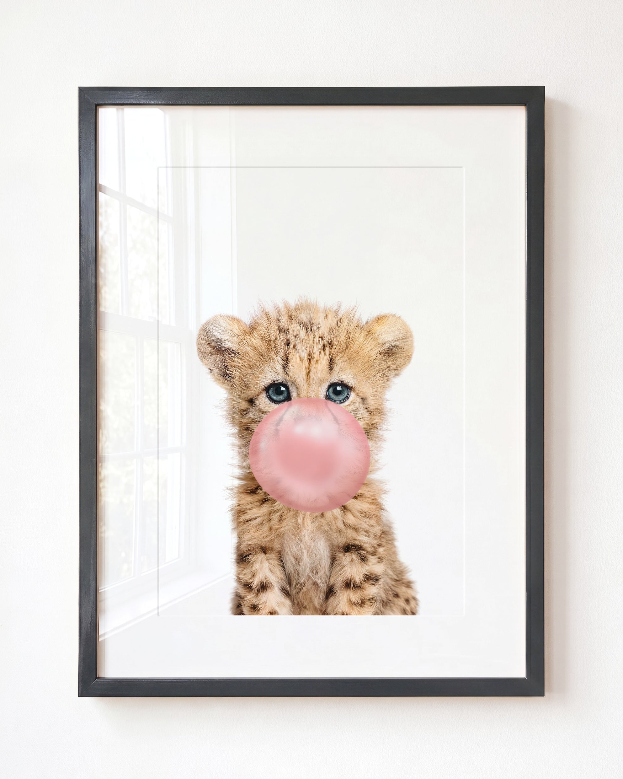 Baby Cheetah