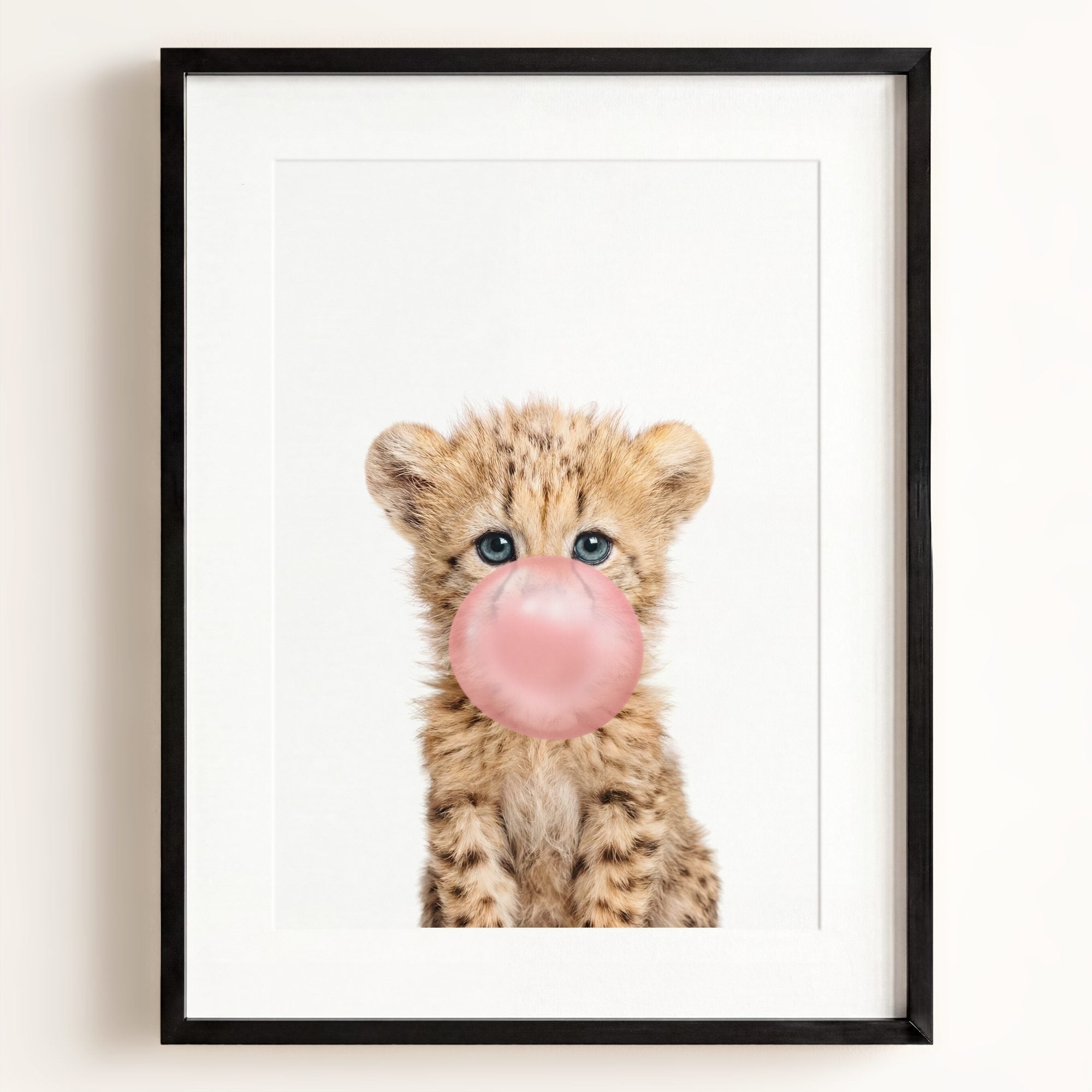 Baby Cheetah