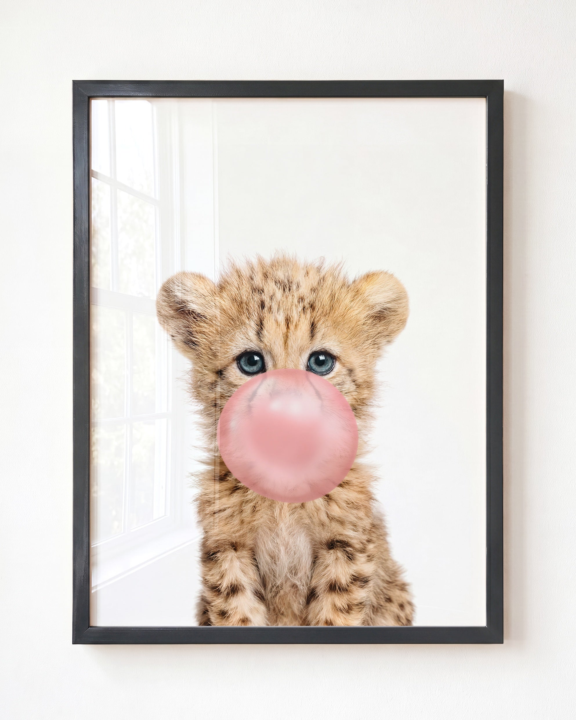 Baby Cheetah