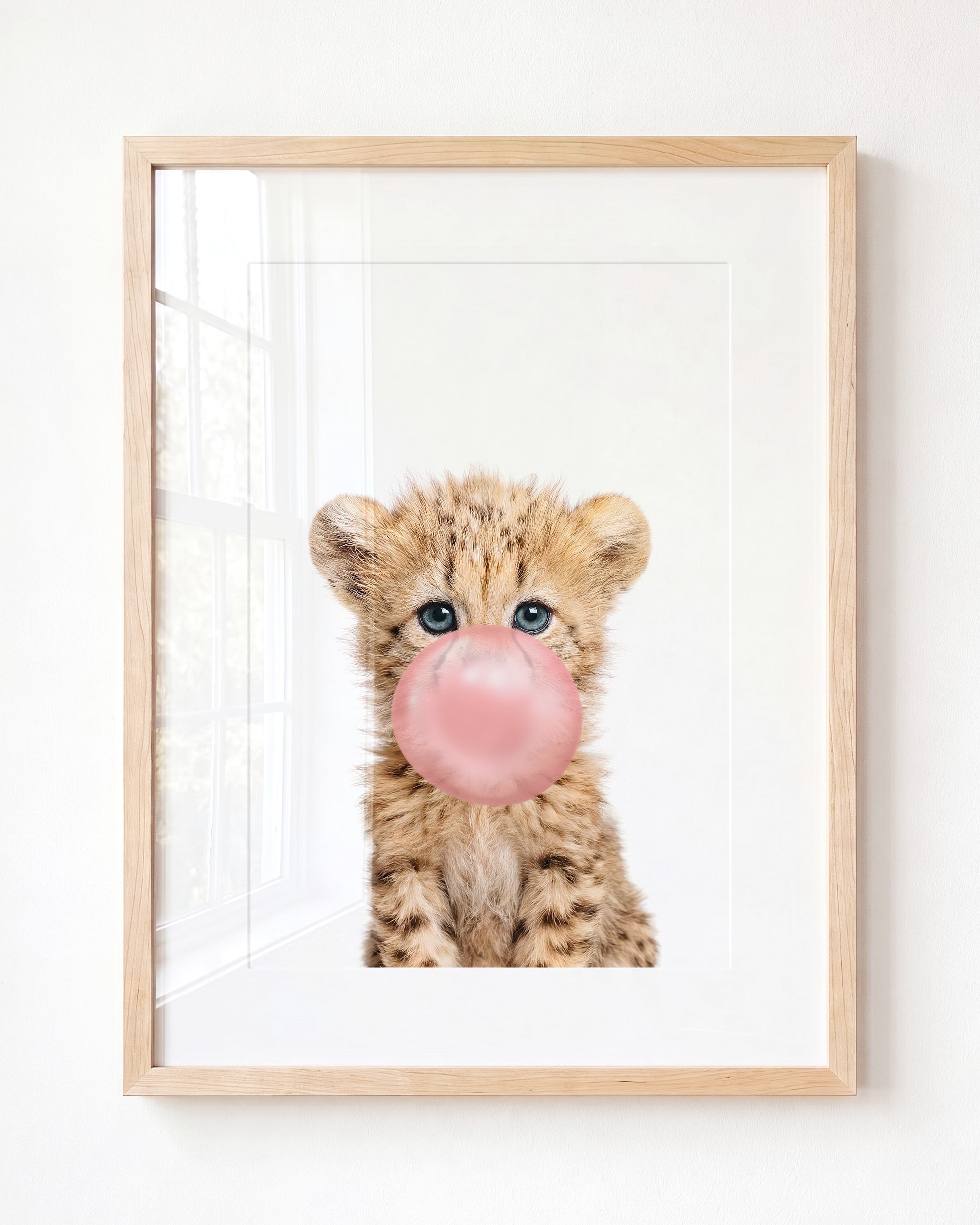 Baby Cheetah