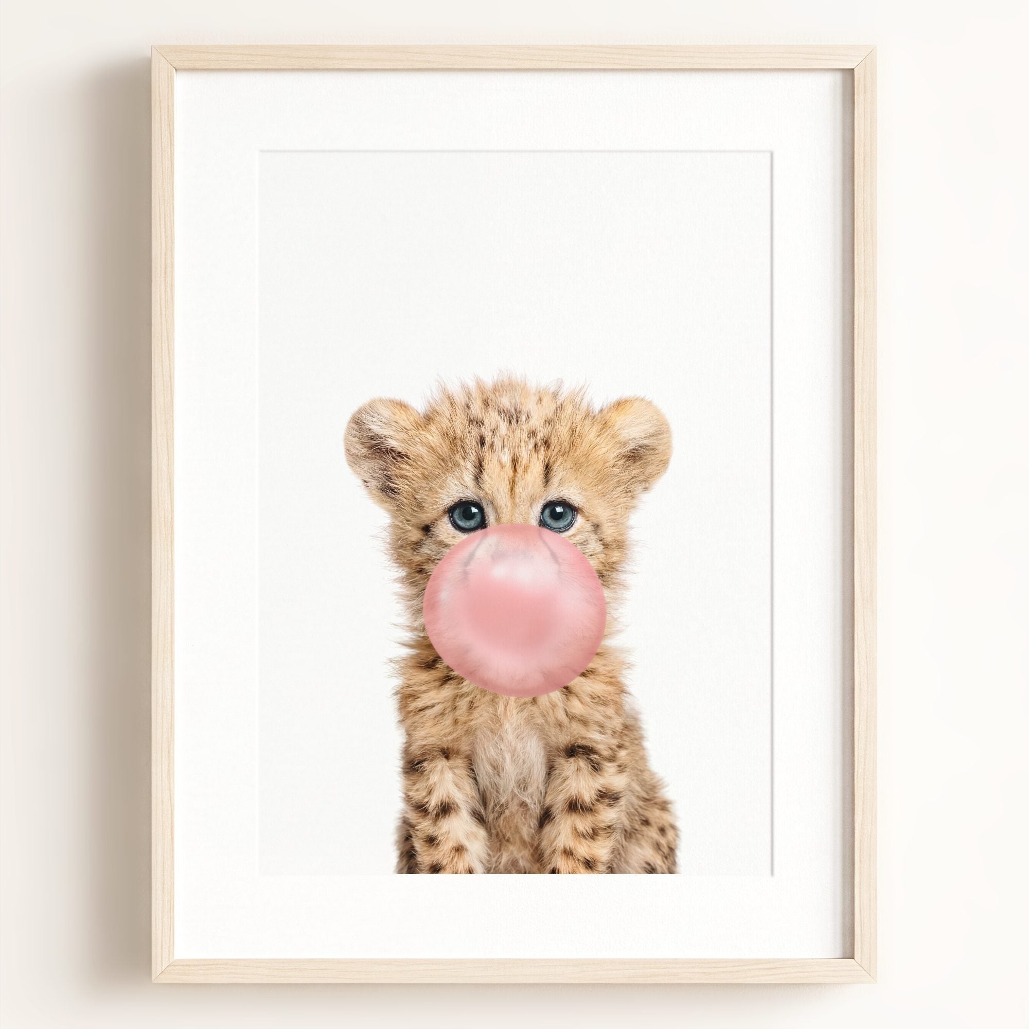 Baby Cheetah
