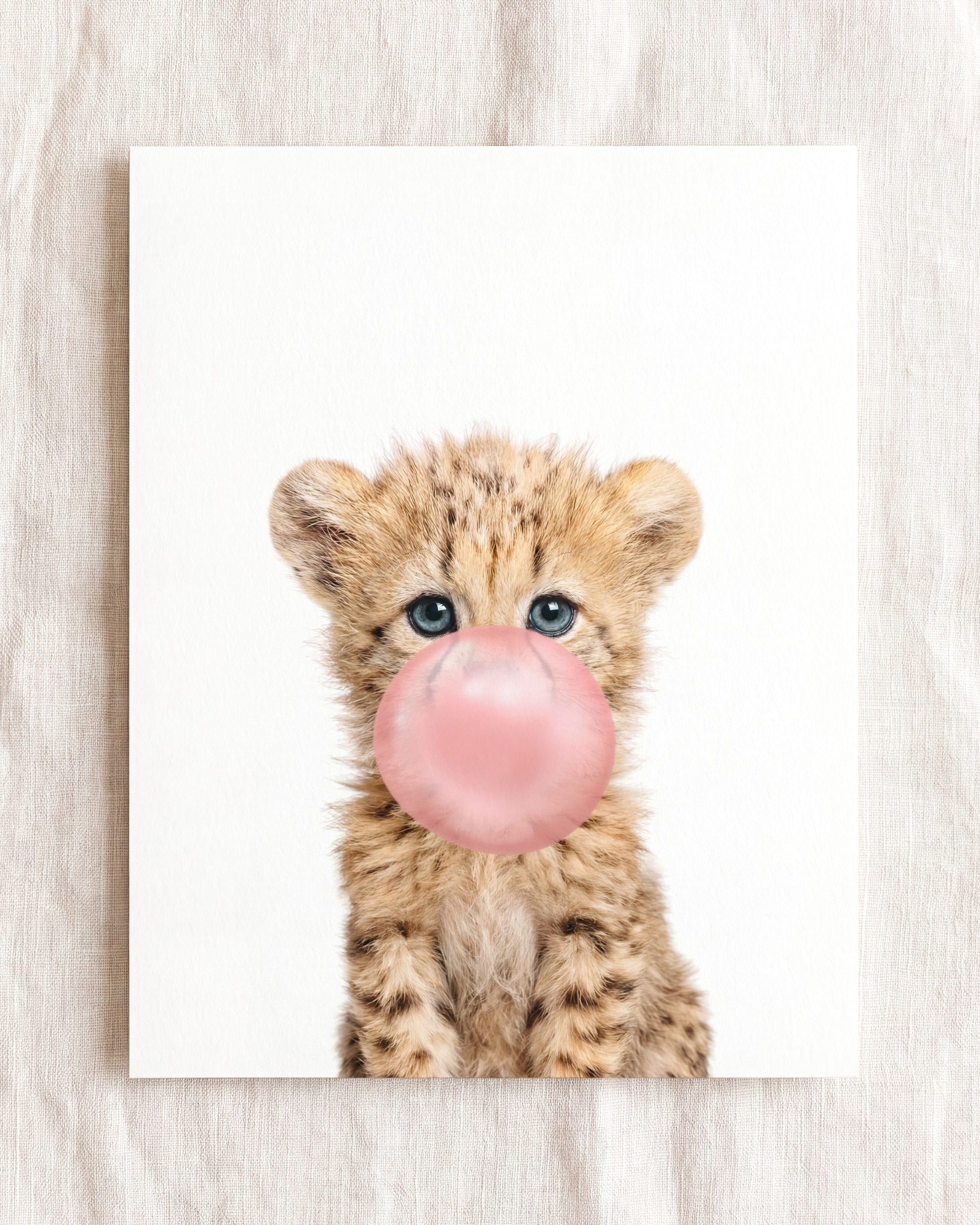 Baby Cheetah