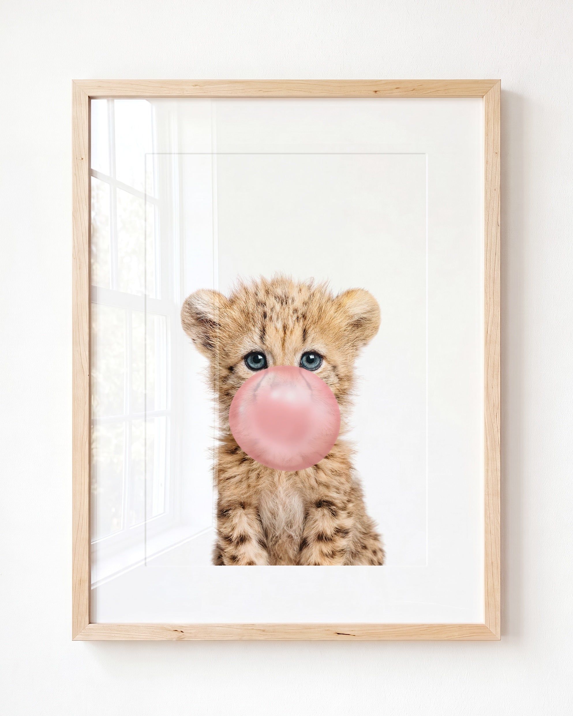 Baby Cheetah