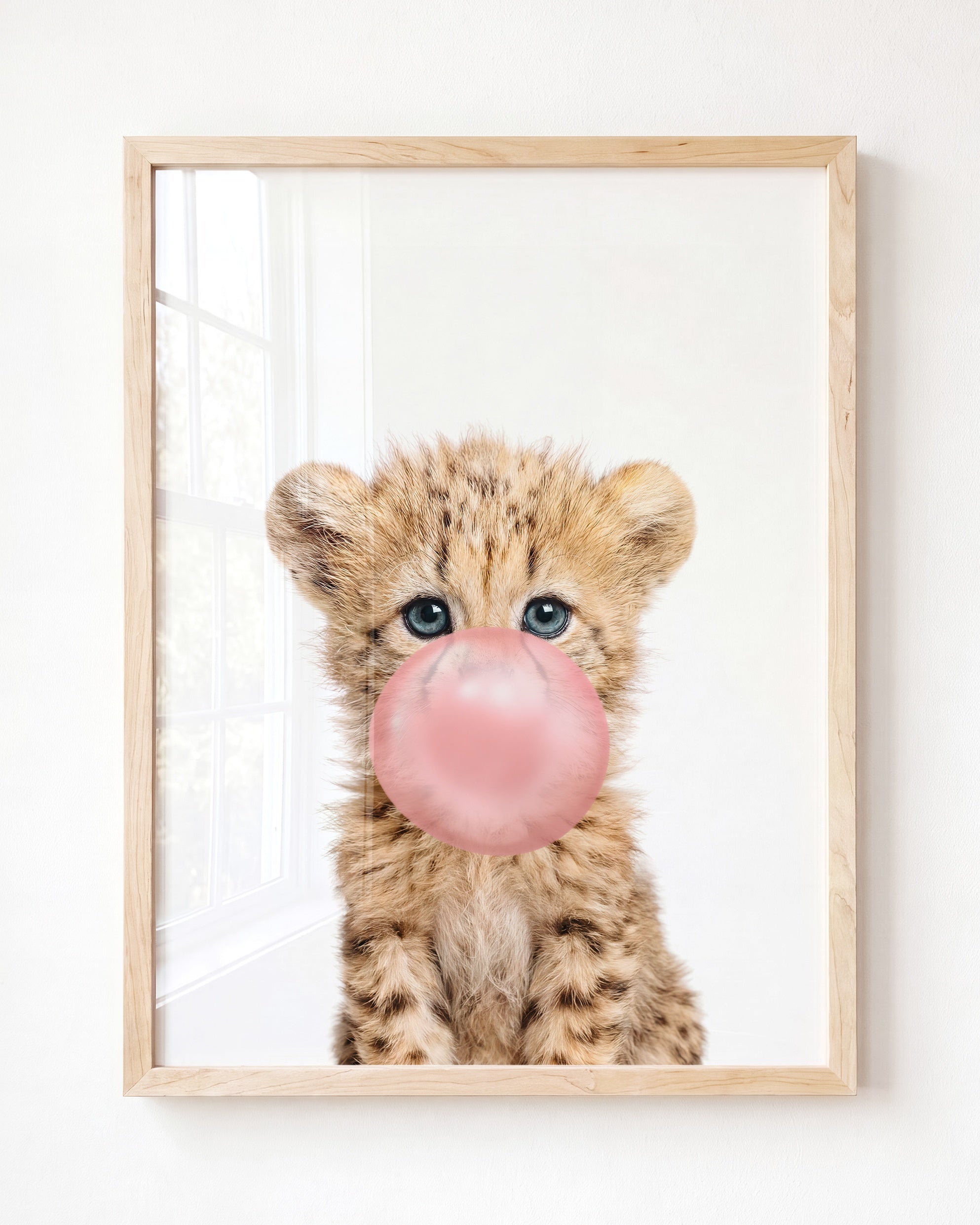 Baby Cheetah