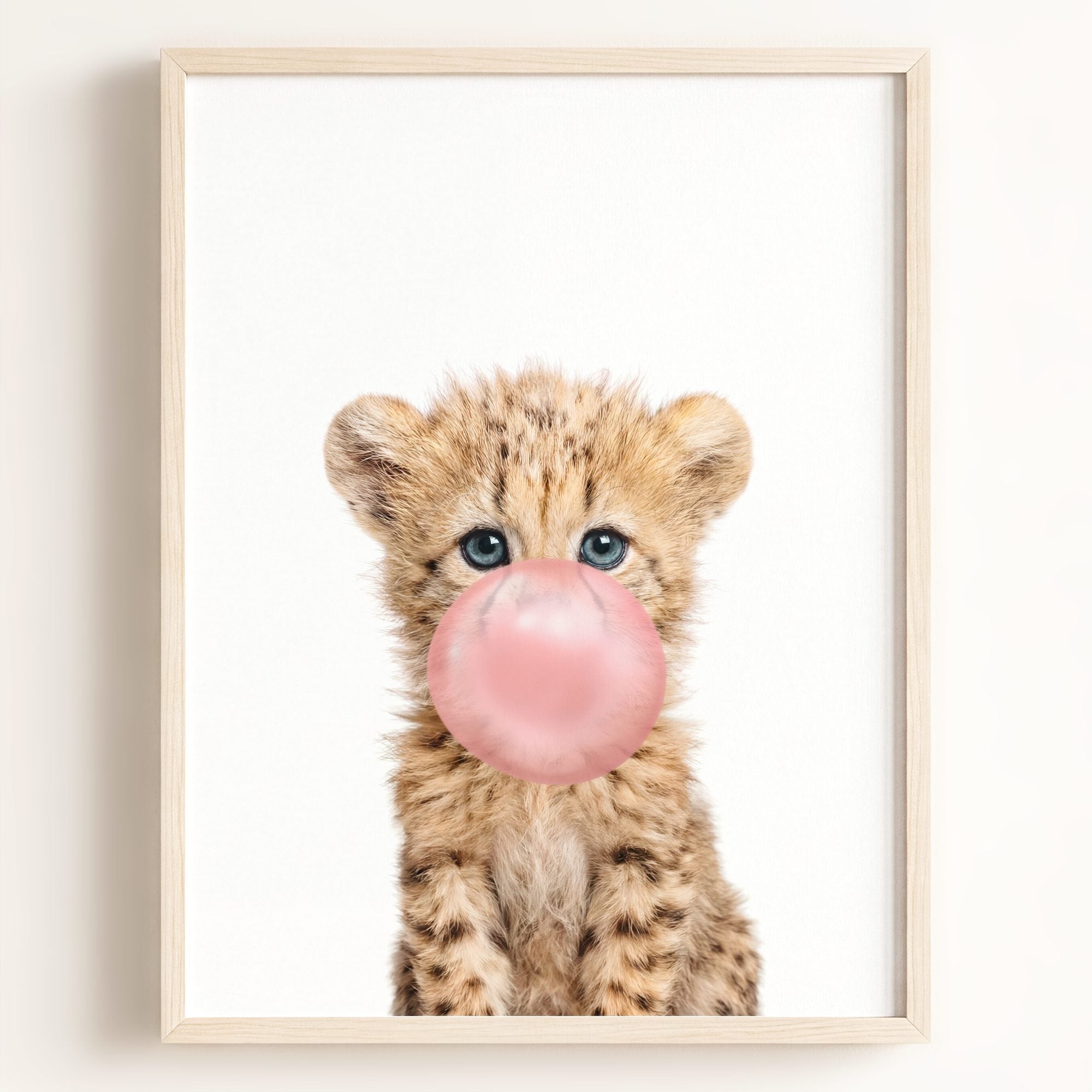 Baby Cheetah