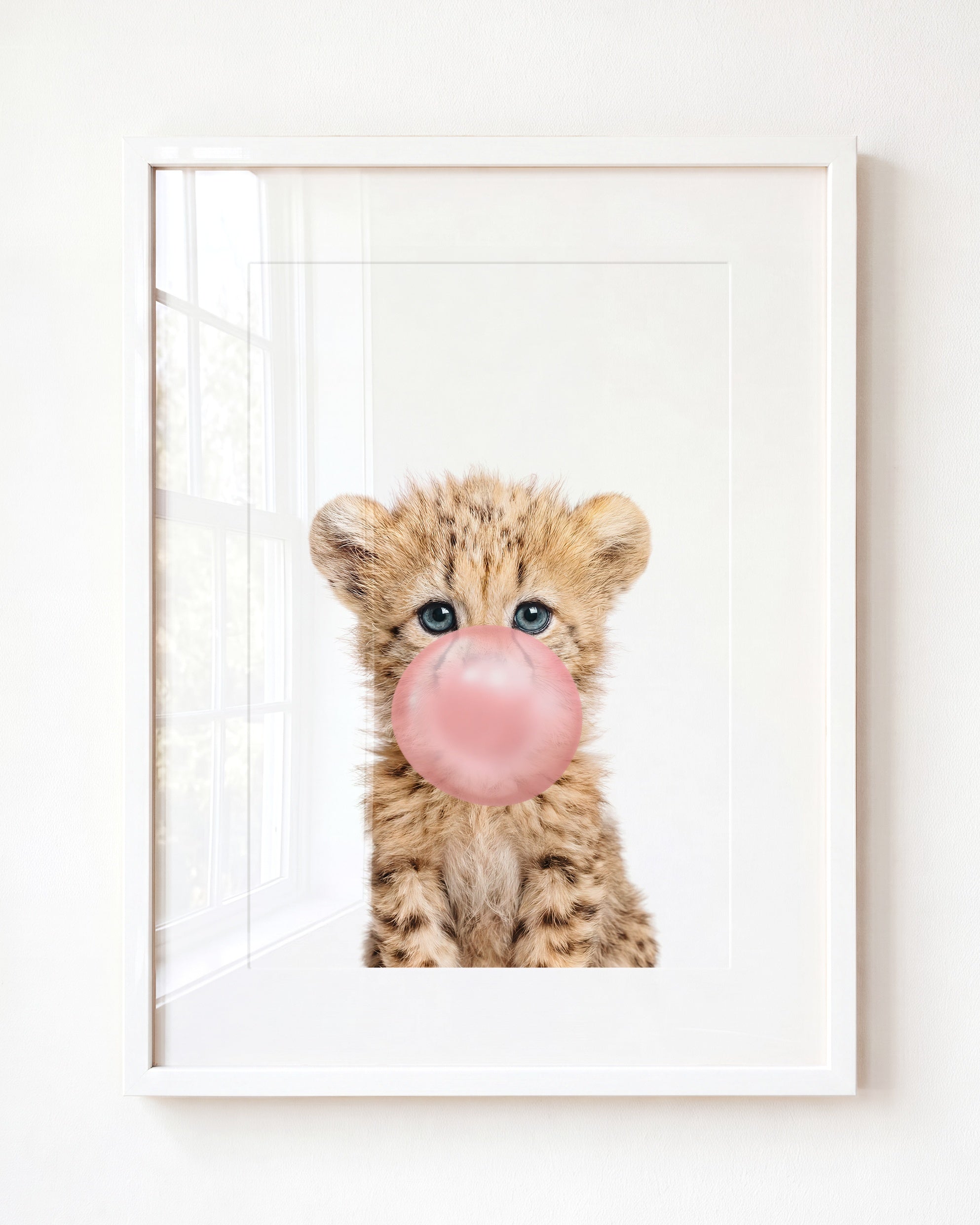 Baby Cheetah