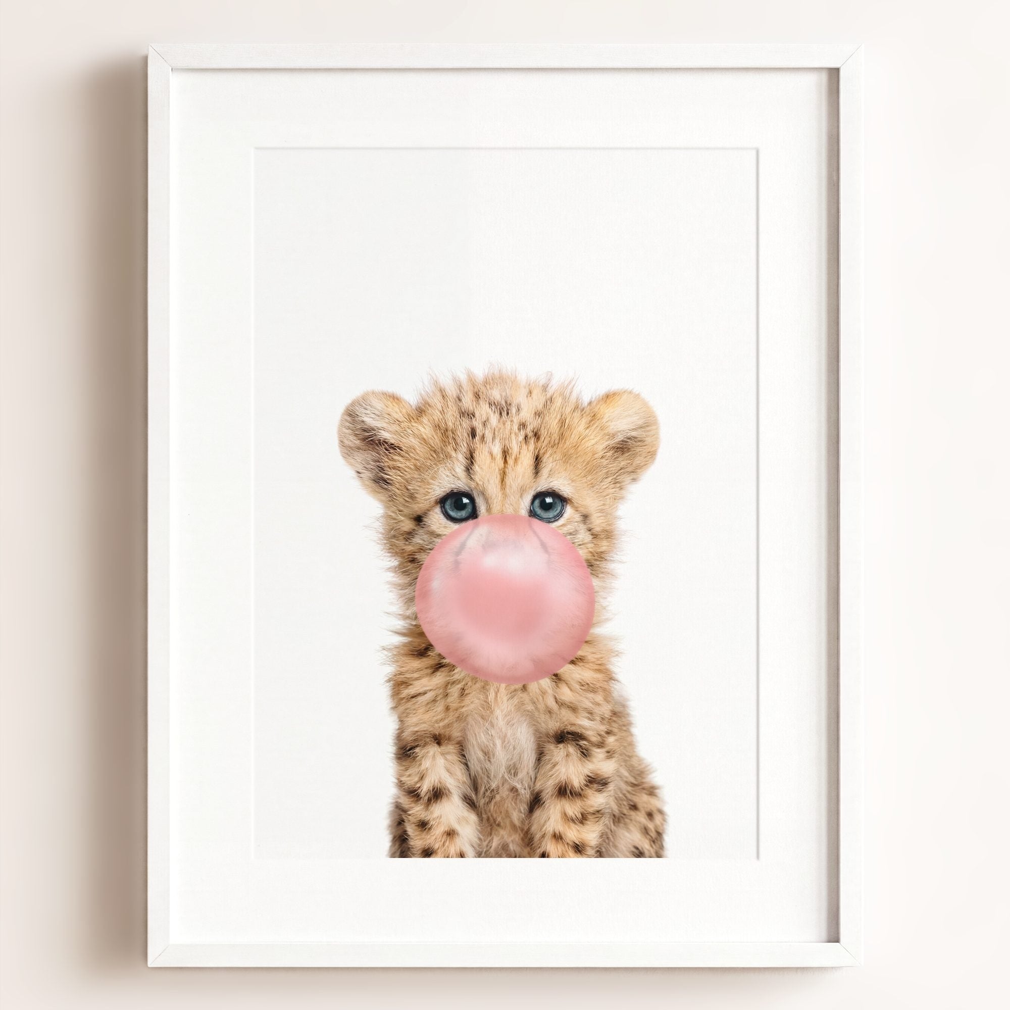 Baby Cheetah
