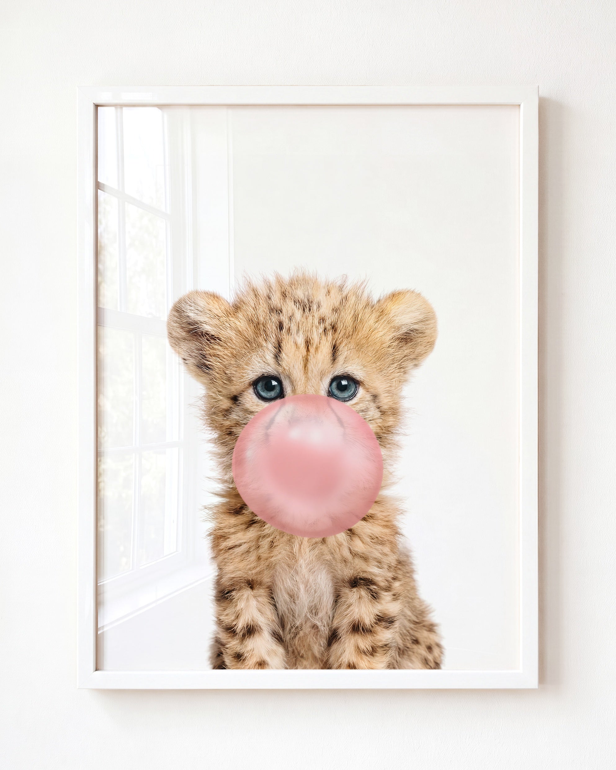 Baby Cheetah