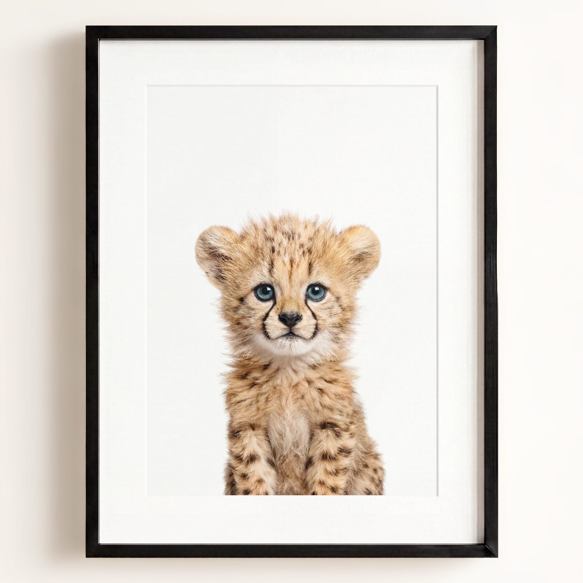 Baby Cheetah