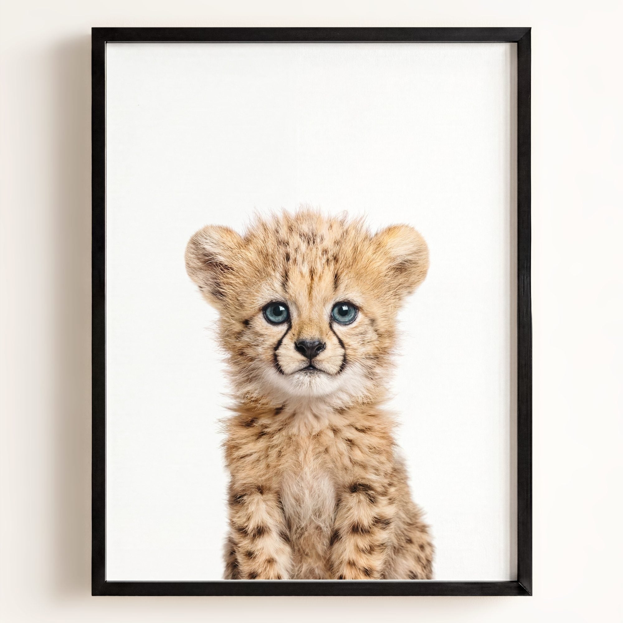 Baby Cheetah
