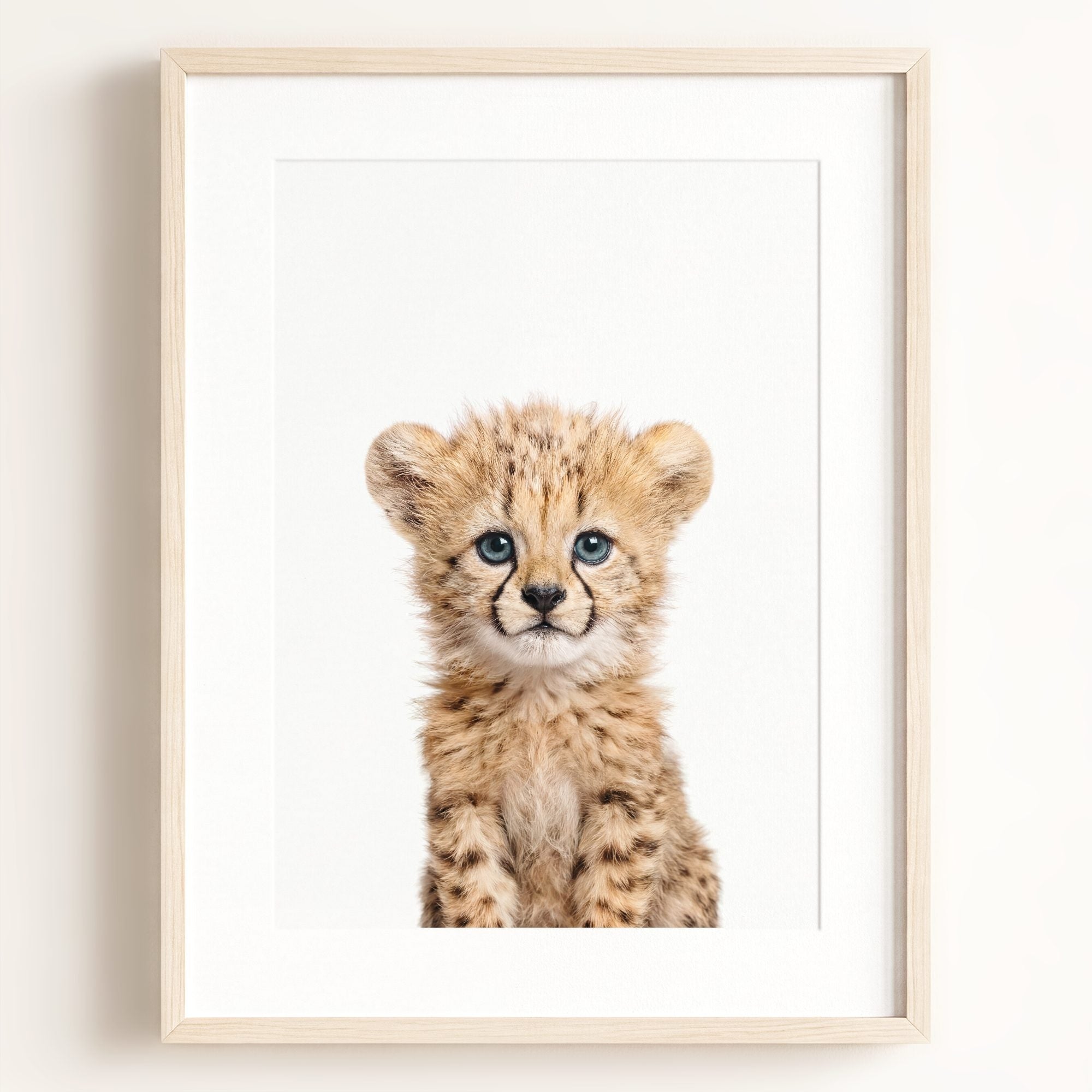 Baby Cheetah