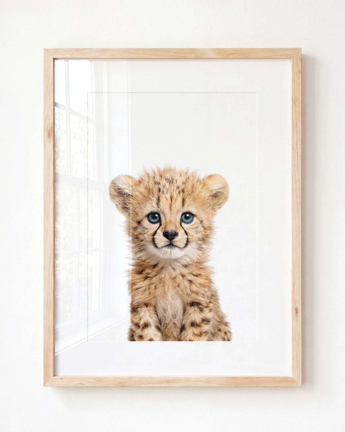 Baby Cheetah
