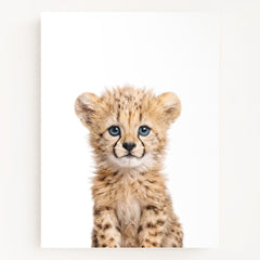 Baby Cheetah
