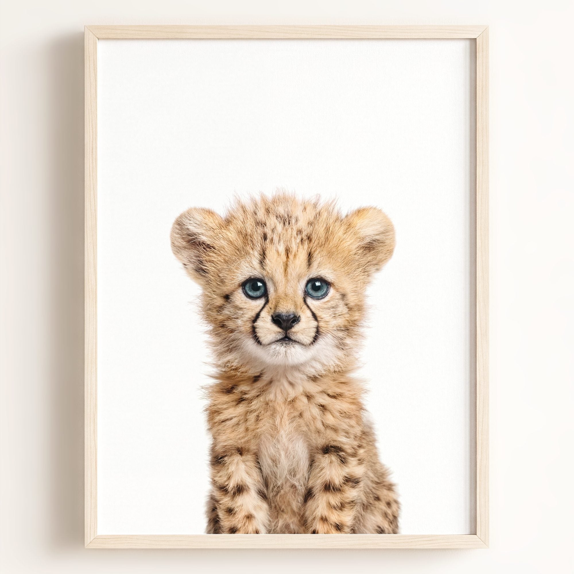 Baby Cheetah