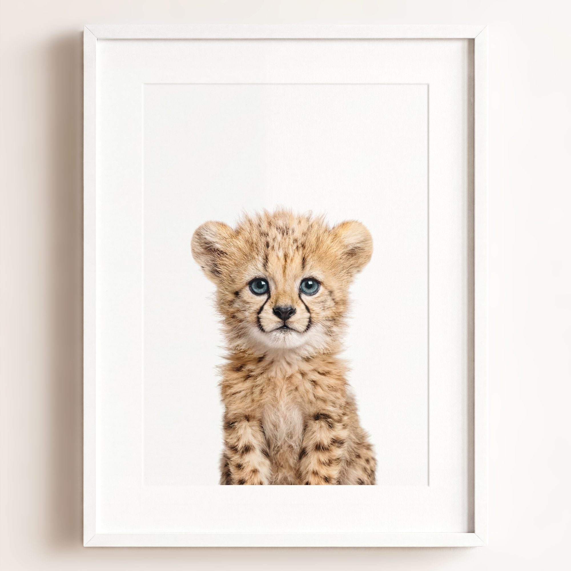 Baby Cheetah