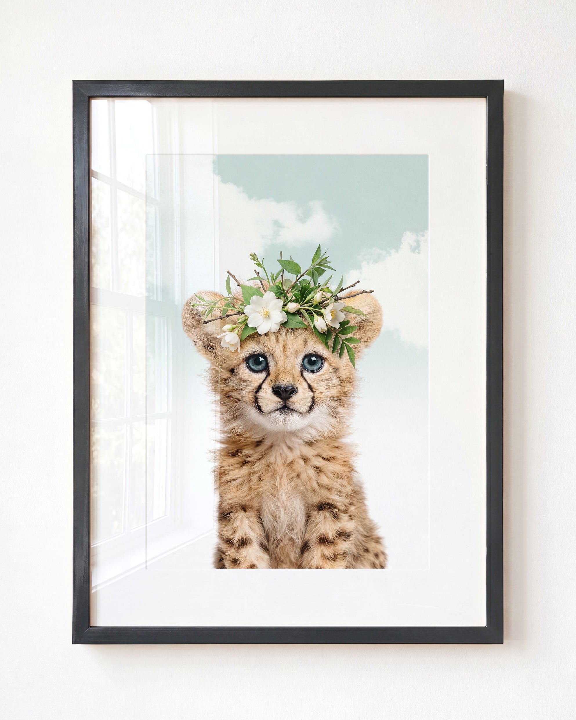 Baby Cheetah