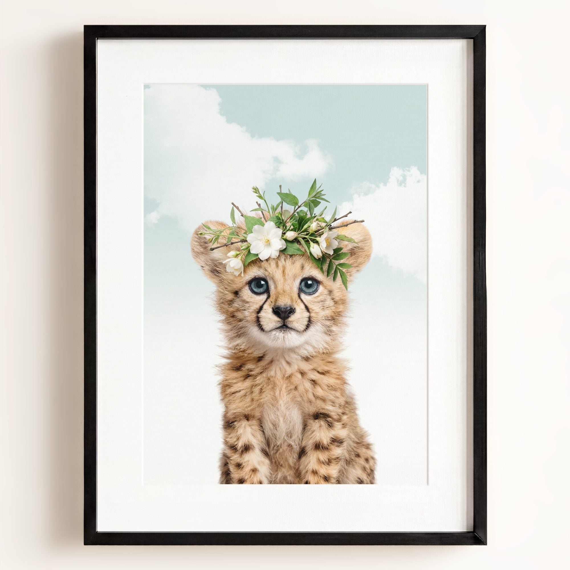 Baby Cheetah