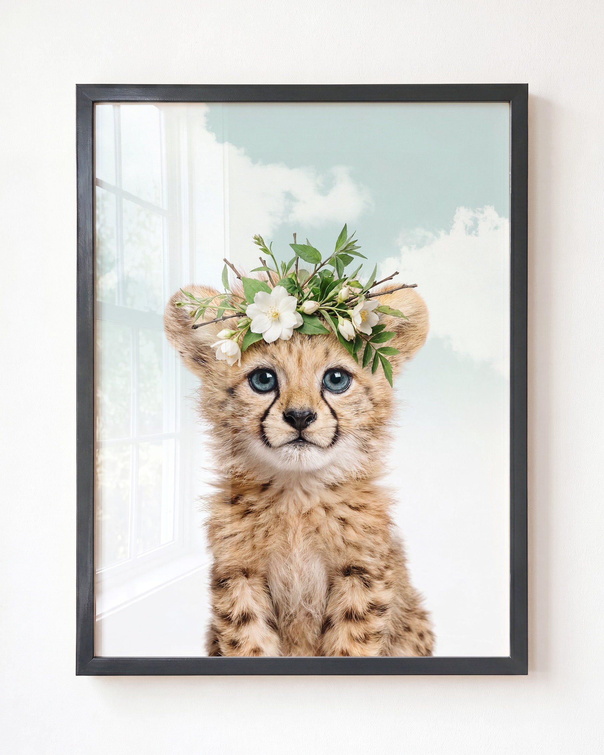 Baby Cheetah