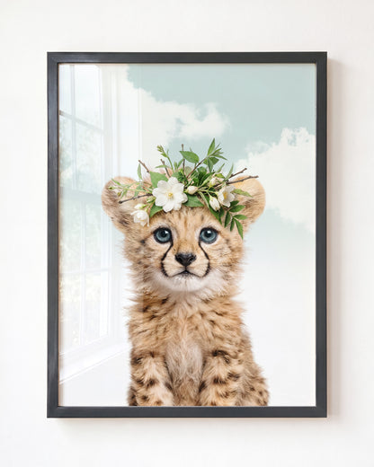 Baby Cheetah