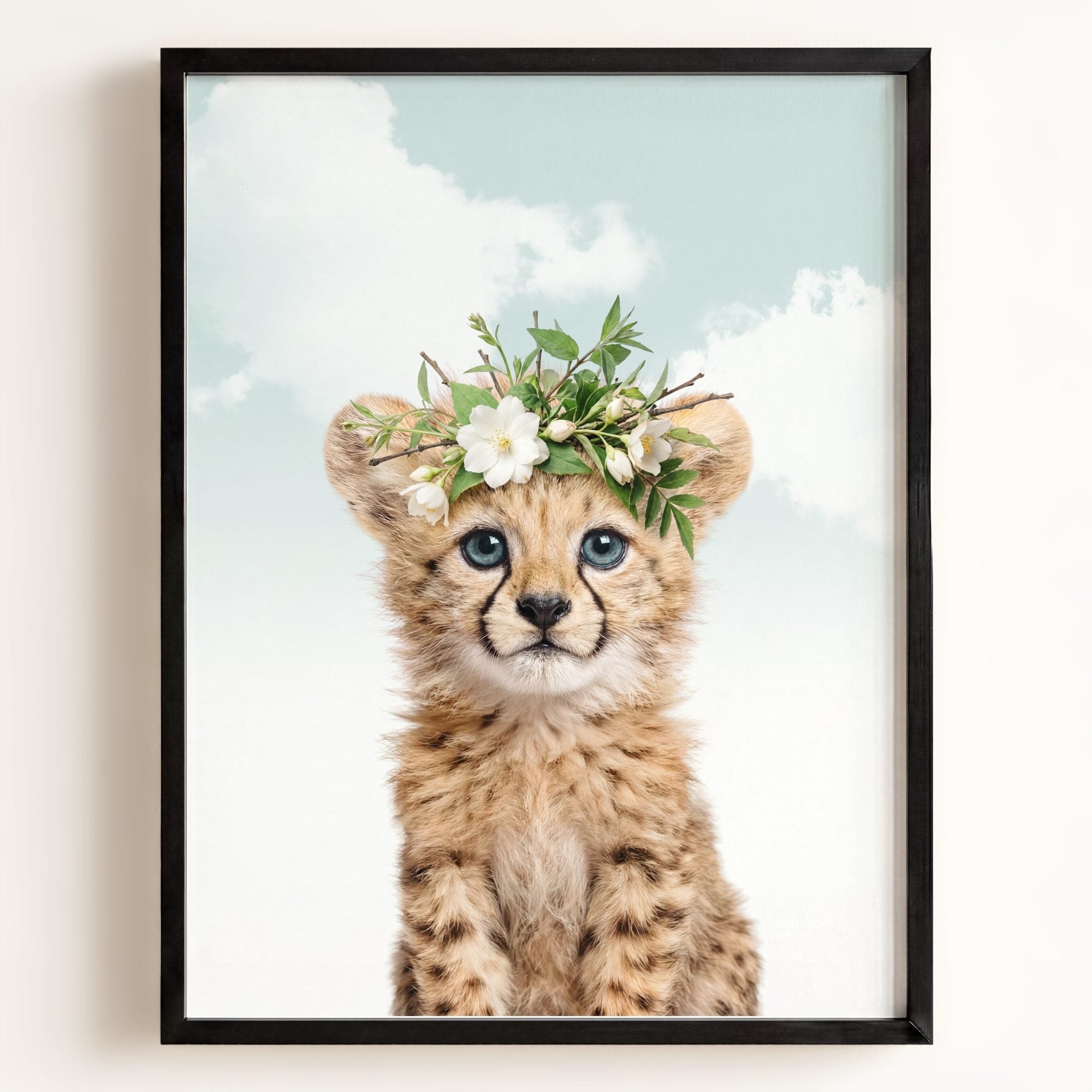 Baby Cheetah