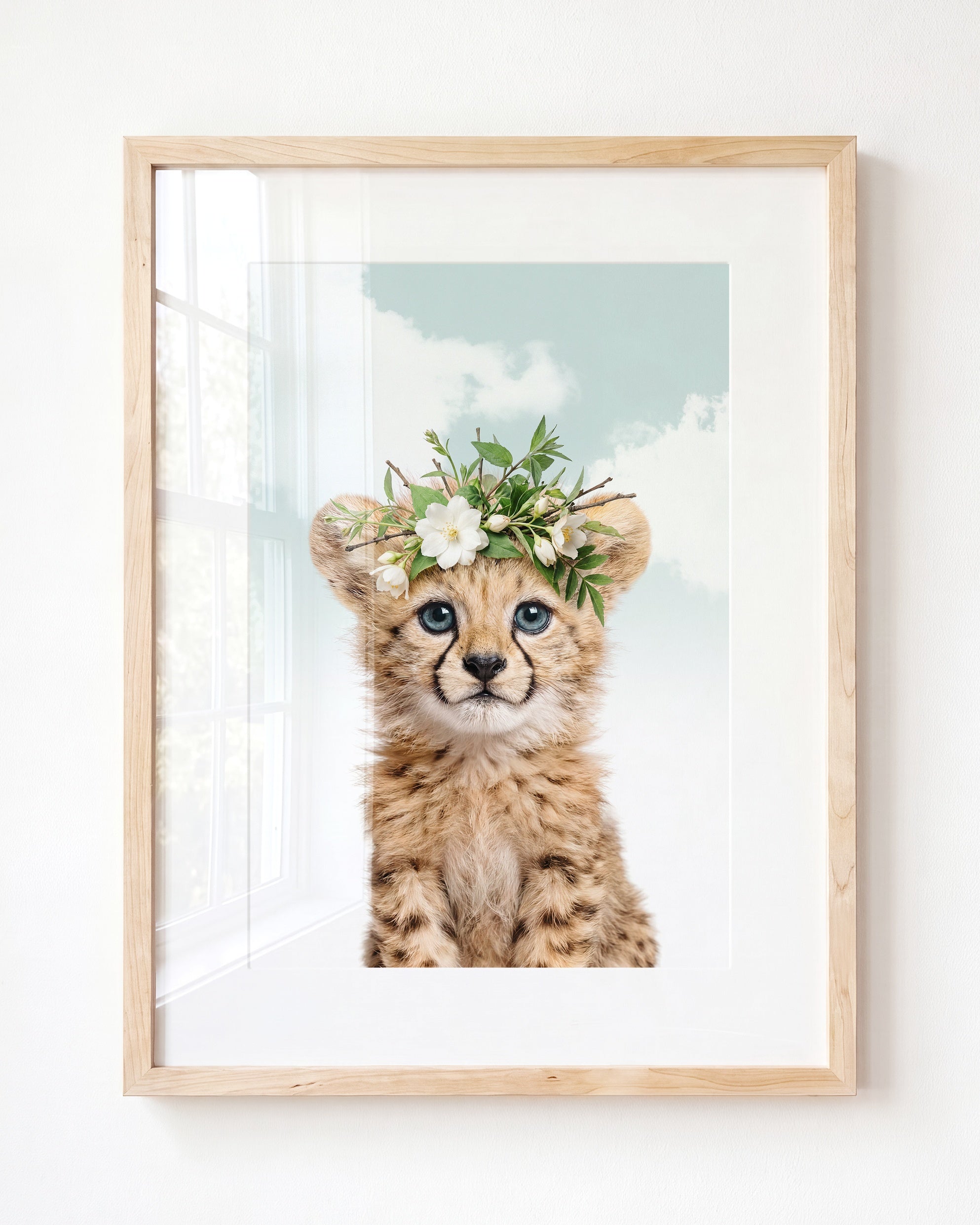 Baby Cheetah