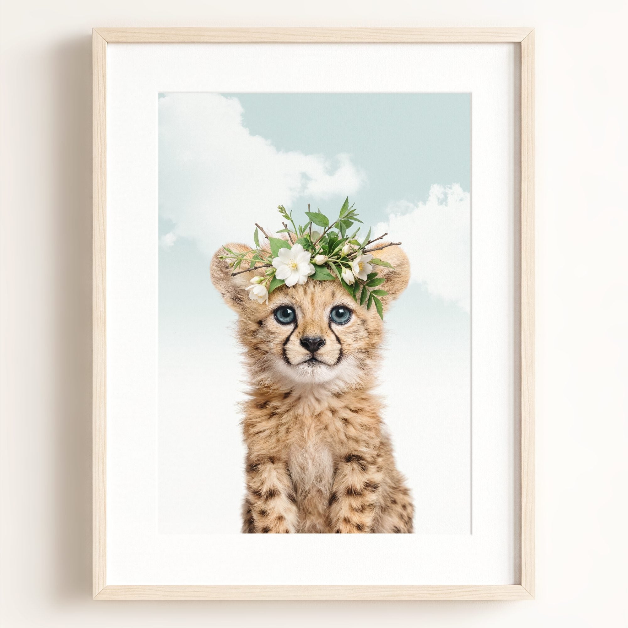 Baby Cheetah