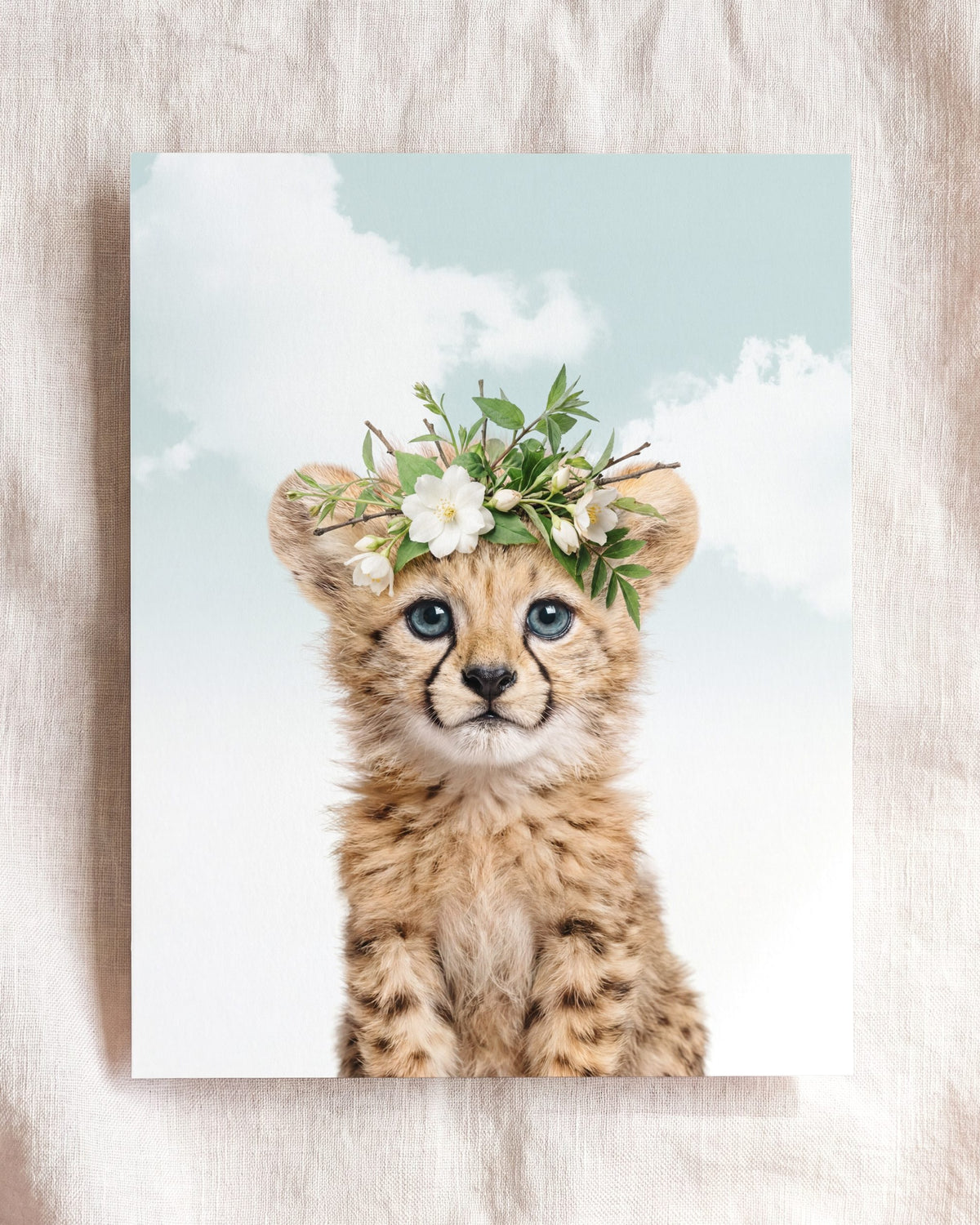 Baby Cheetah