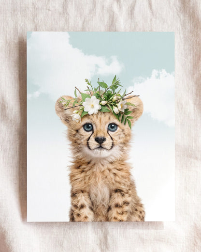 Baby Cheetah